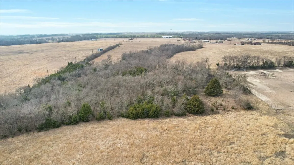 Unimproved Land For Sale in Grayson County , tbd Fm-902, Howe, Texas 75092, 0, 0, Garage spaces, 0 Sqft, built in 0, mls#21164951, Real Estate Agent in Howe, Homes For Sale in Grayson county, Homes For Sale in Howe, Realtor in Howe Texas, Real Estate Brokerage Independent Realty Texas, Luminita Cordes Realtor