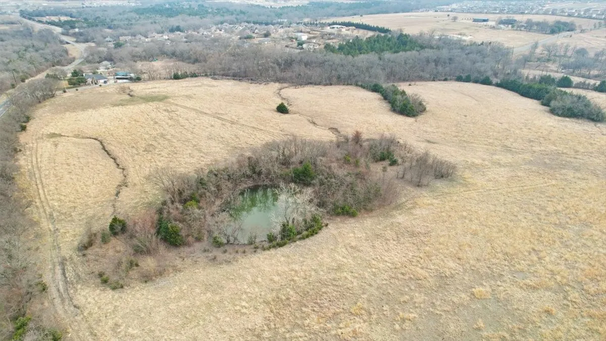 Unimproved Land For Sale in Grayson County , tbd Fm-902, Howe, Texas 75092, 0, 0, Garage spaces, 0 Sqft, built in 0, mls#21164951, Real Estate Agent in Howe, Homes For Sale in Grayson county, Homes For Sale in Howe, Realtor in Howe Texas, Real Estate Brokerage Independent Realty Texas, Luminita Cordes Realtor