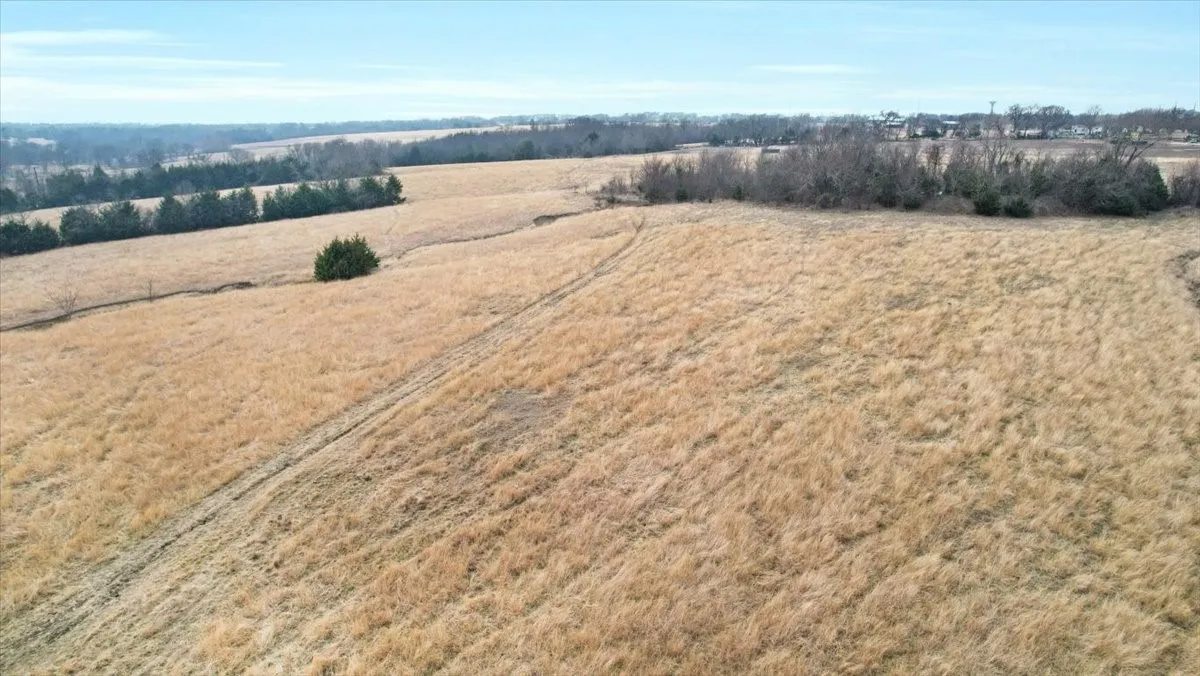 Unimproved Land For Sale in Grayson County , tbd Fm-902, Howe, Texas 75092, 0, 0, Garage spaces, 0 Sqft, built in 0, mls#21164951, Real Estate Agent in Howe, Homes For Sale in Grayson county, Homes For Sale in Howe, Realtor in Howe Texas, Real Estate Brokerage Independent Realty Texas, Luminita Cordes Realtor