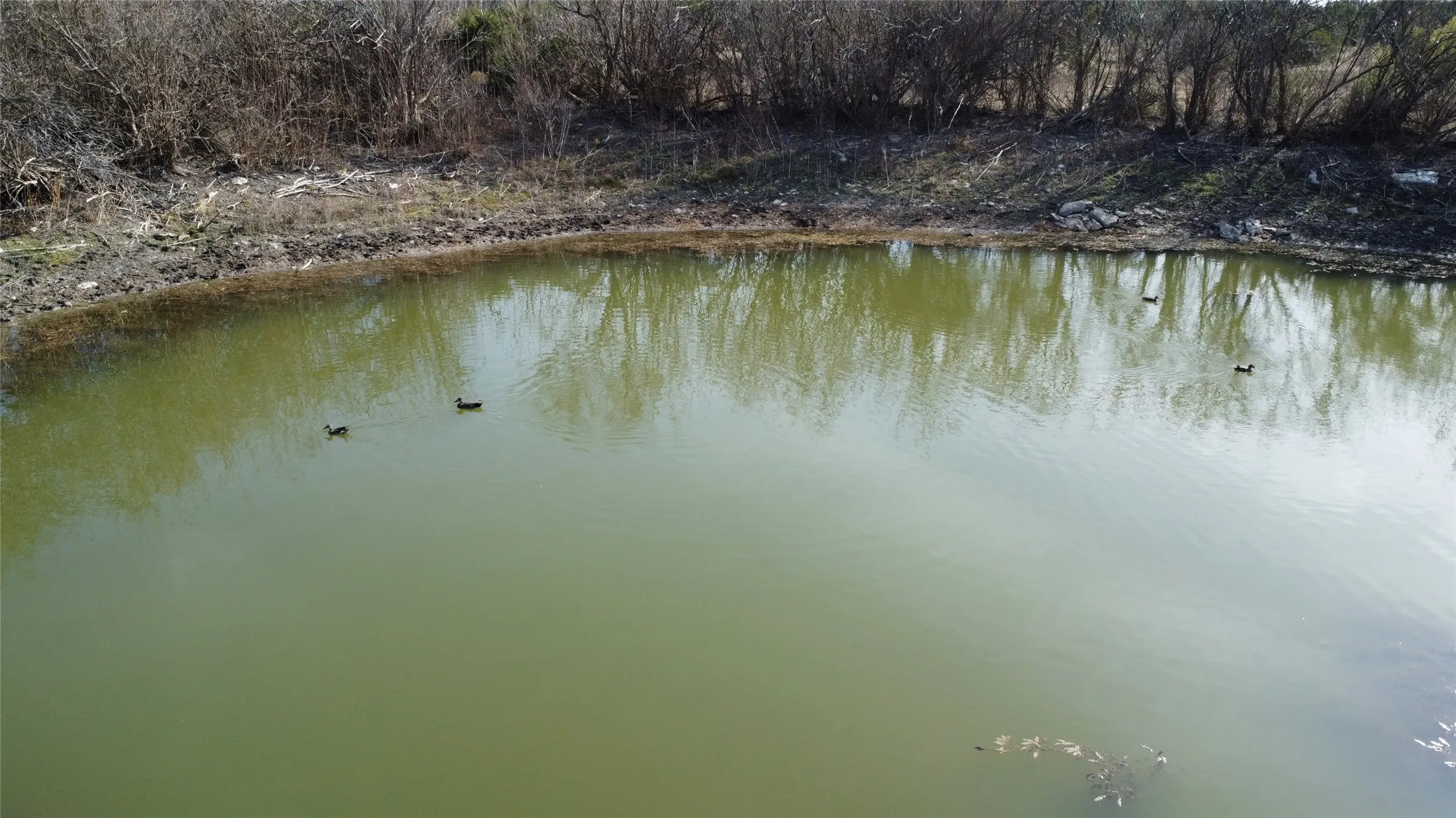 Ranch For Sale in Hamilton County , 0000 County Road 119, Hico, Texas 76457, 0, 0, Garage spaces, 0 Sqft, built in 0, mls#21165121, Real Estate Agent in Hico, Homes For Sale in Hamilton county, Homes For Sale in Hico, Realtor in Hico Texas, Real Estate Brokerage Independent Realty Texas, Luminita Cordes Realtor