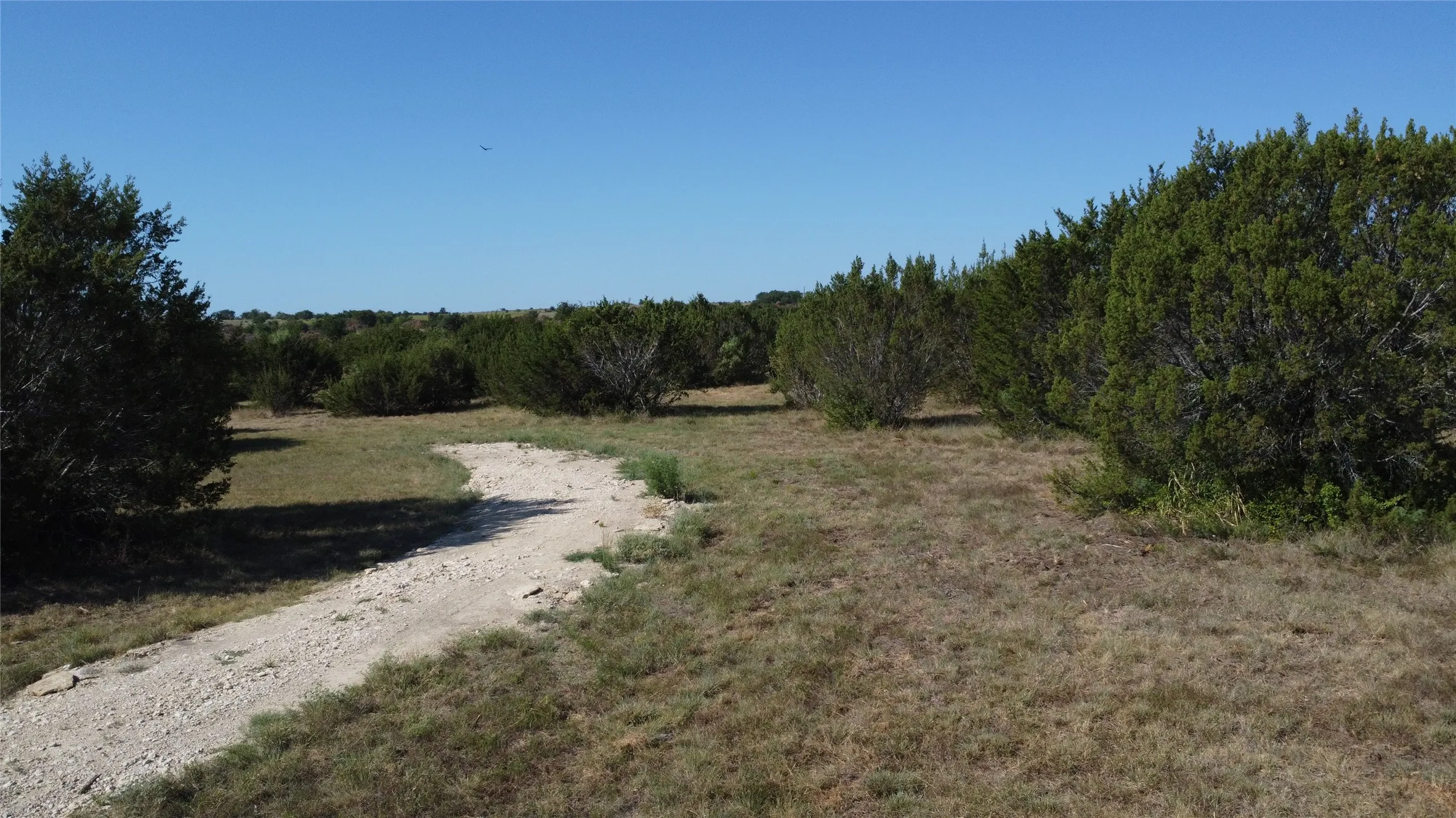 Ranch For Sale in Hamilton County , 0000 County Road 119, Hico, Texas 76457, 0, 0, Garage spaces, 0 Sqft, built in 0, mls#21165121, Real Estate Agent in Hico, Homes For Sale in Hamilton county, Homes For Sale in Hico, Realtor in Hico Texas, Real Estate Brokerage Independent Realty Texas, Luminita Cordes Realtor