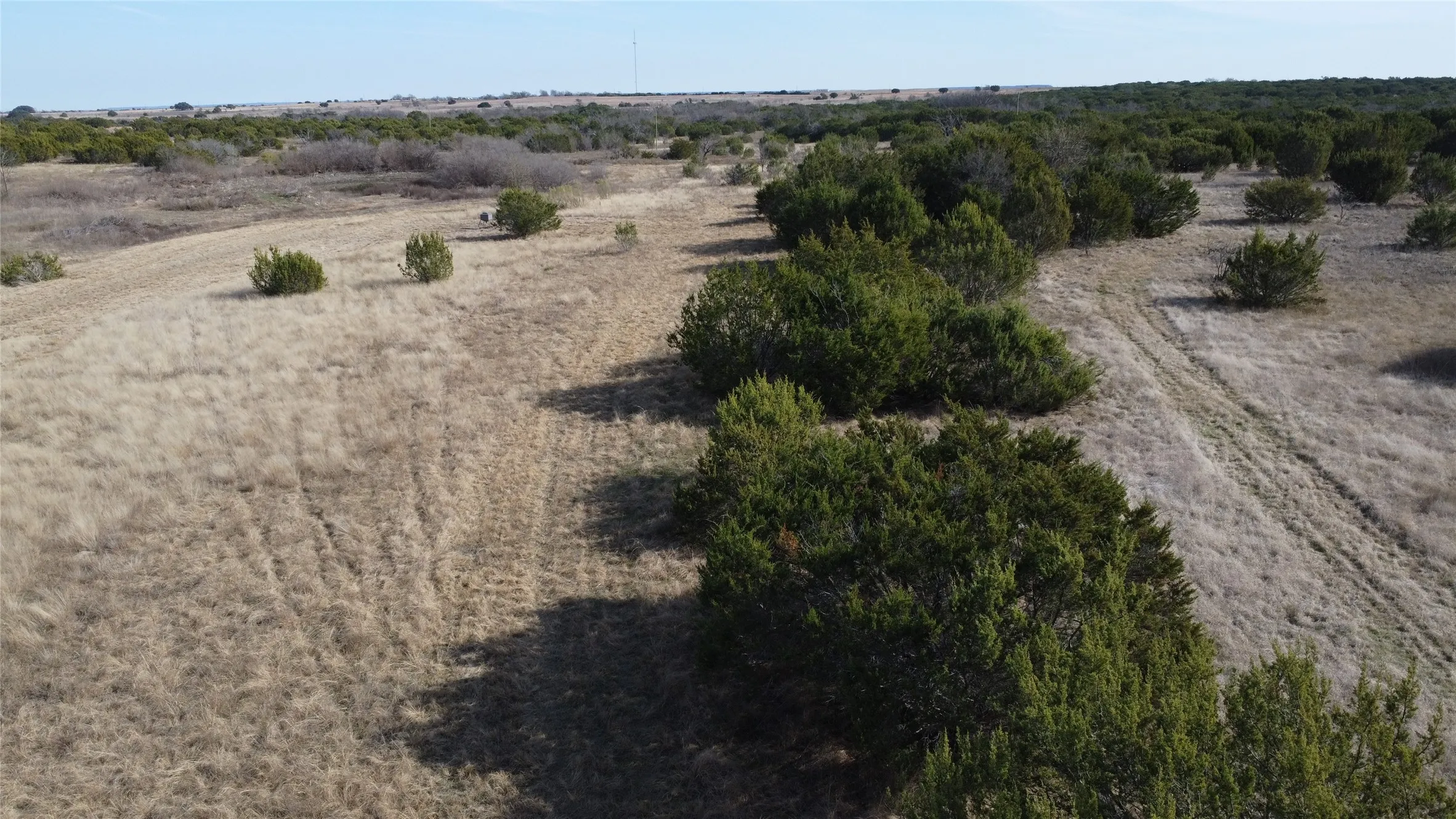 Ranch For Sale in Hamilton County , 0000 County Road 119, Hico, Texas 76457, 0, 0, Garage spaces, 0 Sqft, built in 0, mls#21165121, Real Estate Agent in Hico, Homes For Sale in Hamilton county, Homes For Sale in Hico, Realtor in Hico Texas, Real Estate Brokerage Independent Realty Texas, Luminita Cordes Realtor