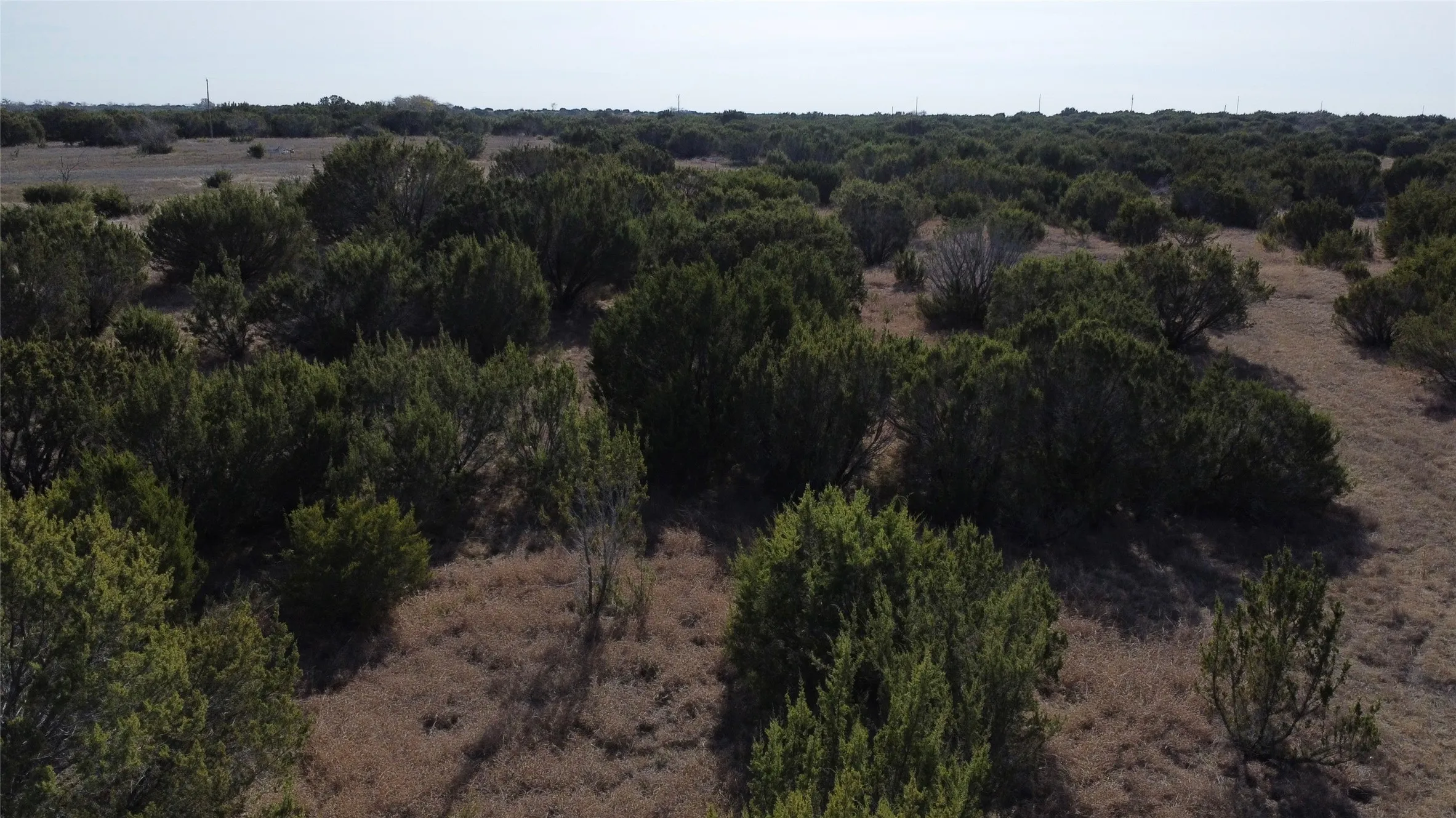 Ranch For Sale in Hamilton County , 0000 County Road 119, Hico, Texas 76457, 0, 0, Garage spaces, 0 Sqft, built in 0, mls#21165121, Real Estate Agent in Hico, Homes For Sale in Hamilton county, Homes For Sale in Hico, Realtor in Hico Texas, Real Estate Brokerage Independent Realty Texas, Luminita Cordes Realtor