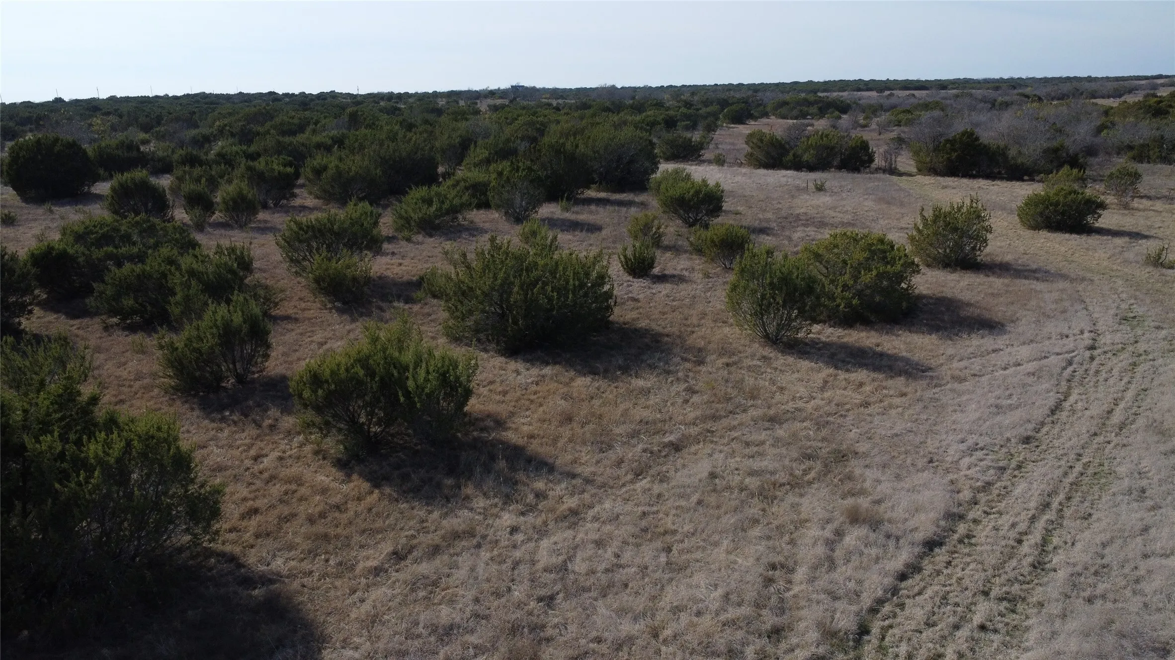 Ranch For Sale in Hamilton County , 0000 County Road 119, Hico, Texas 76457, 0, 0, Garage spaces, 0 Sqft, built in 0, mls#21165121, Real Estate Agent in Hico, Homes For Sale in Hamilton county, Homes For Sale in Hico, Realtor in Hico Texas, Real Estate Brokerage Independent Realty Texas, Luminita Cordes Realtor