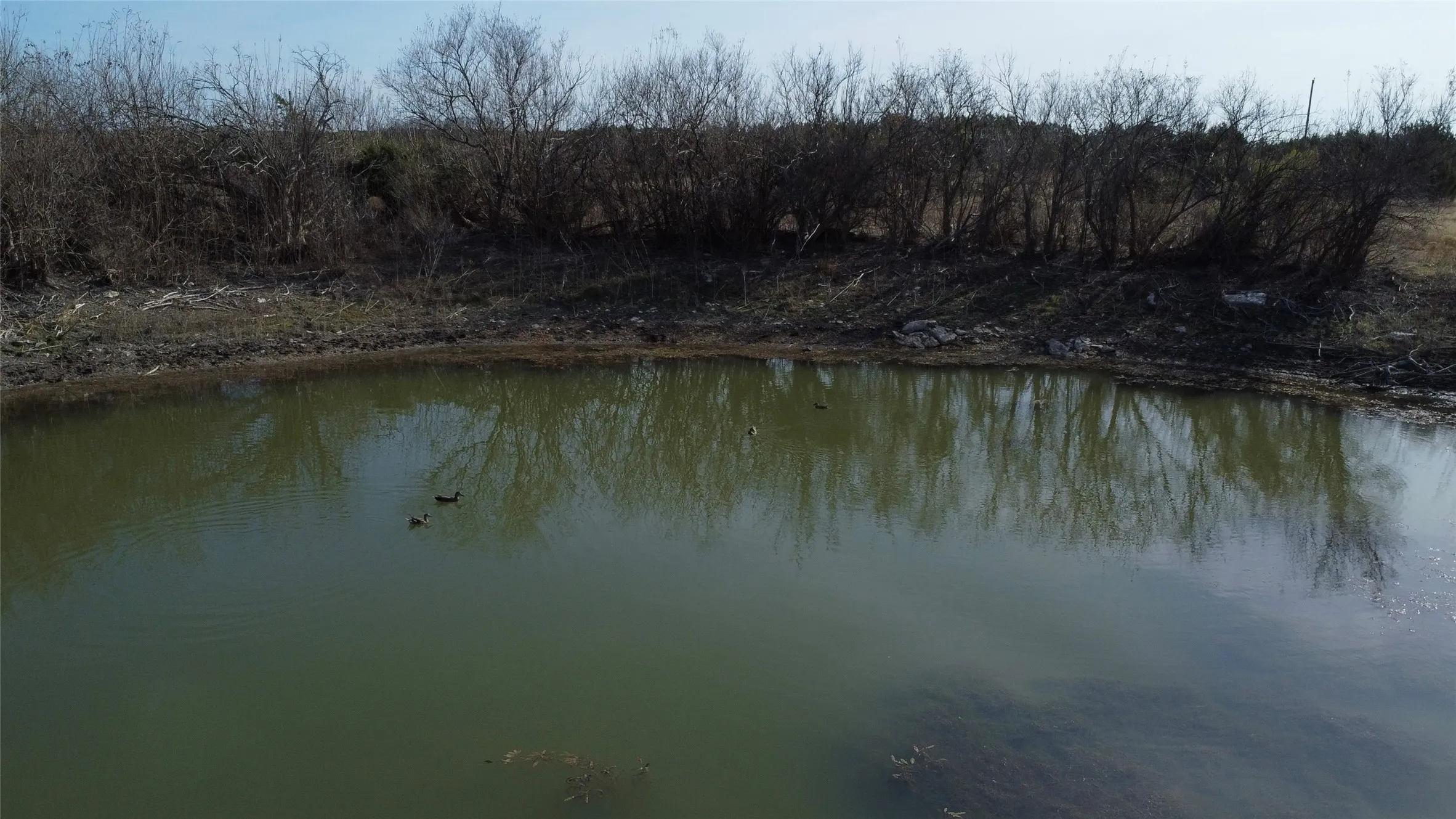 Ranch For Sale in Hamilton County , 0000 County Road 119, Hico, Texas 76457, 0, 0, Garage spaces, 0 Sqft, built in 0, mls#21165121, Real Estate Agent in Hico, Homes For Sale in Hamilton county, Homes For Sale in Hico, Realtor in Hico Texas, Real Estate Brokerage Independent Realty Texas, Luminita Cordes Realtor