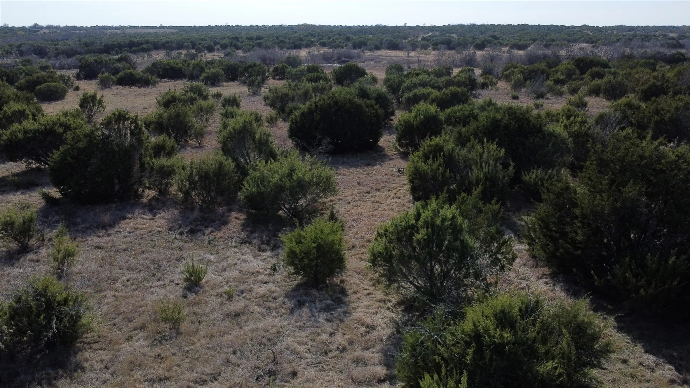 Ranch For Sale in Hamilton County , 0000 County Road 119, Hico, Texas 76457, 0, 0, Garage spaces, 0 Sqft, built in 0, mls#21165121, Real Estate Agent in Hico, Homes For Sale in Hamilton county, Homes For Sale in Hico, Realtor in Hico Texas, Real Estate Brokerage Independent Realty Texas, Luminita Cordes Realtor