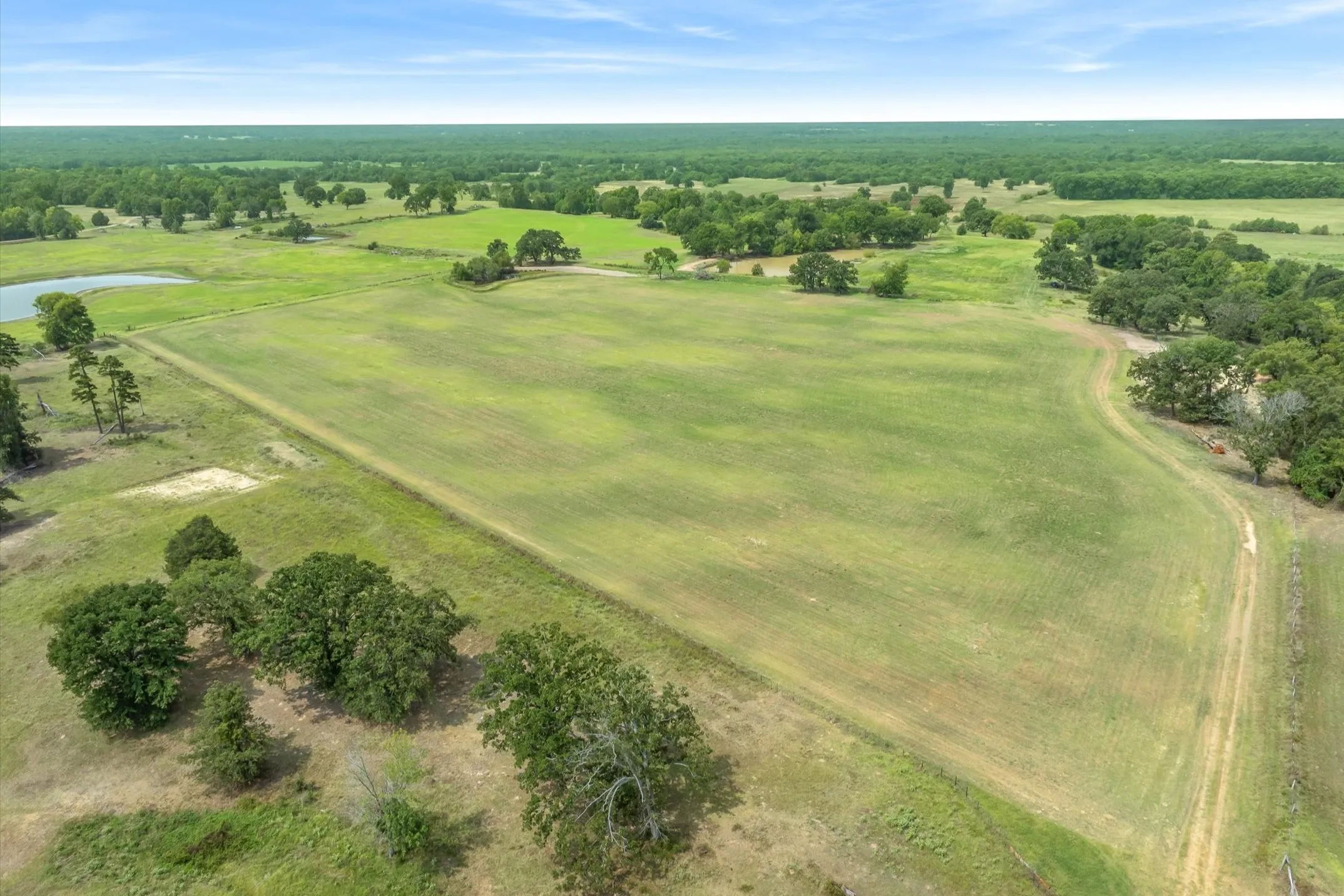 Ranch For Sale in Wood County , 000 County Road 2918, Mineola, Texas 75410, 0, 0, Garage spaces, 0 Sqft, built in 0, Price $962,780, mls#21155989, Real Estate Agent in Mineola, Homes For Sale in Wood county, Homes For Sale in Mineola, Realtor in Mineola Texas, Real Estate Brokerage Independent Realty Texas, Luminita Cordes Realtor