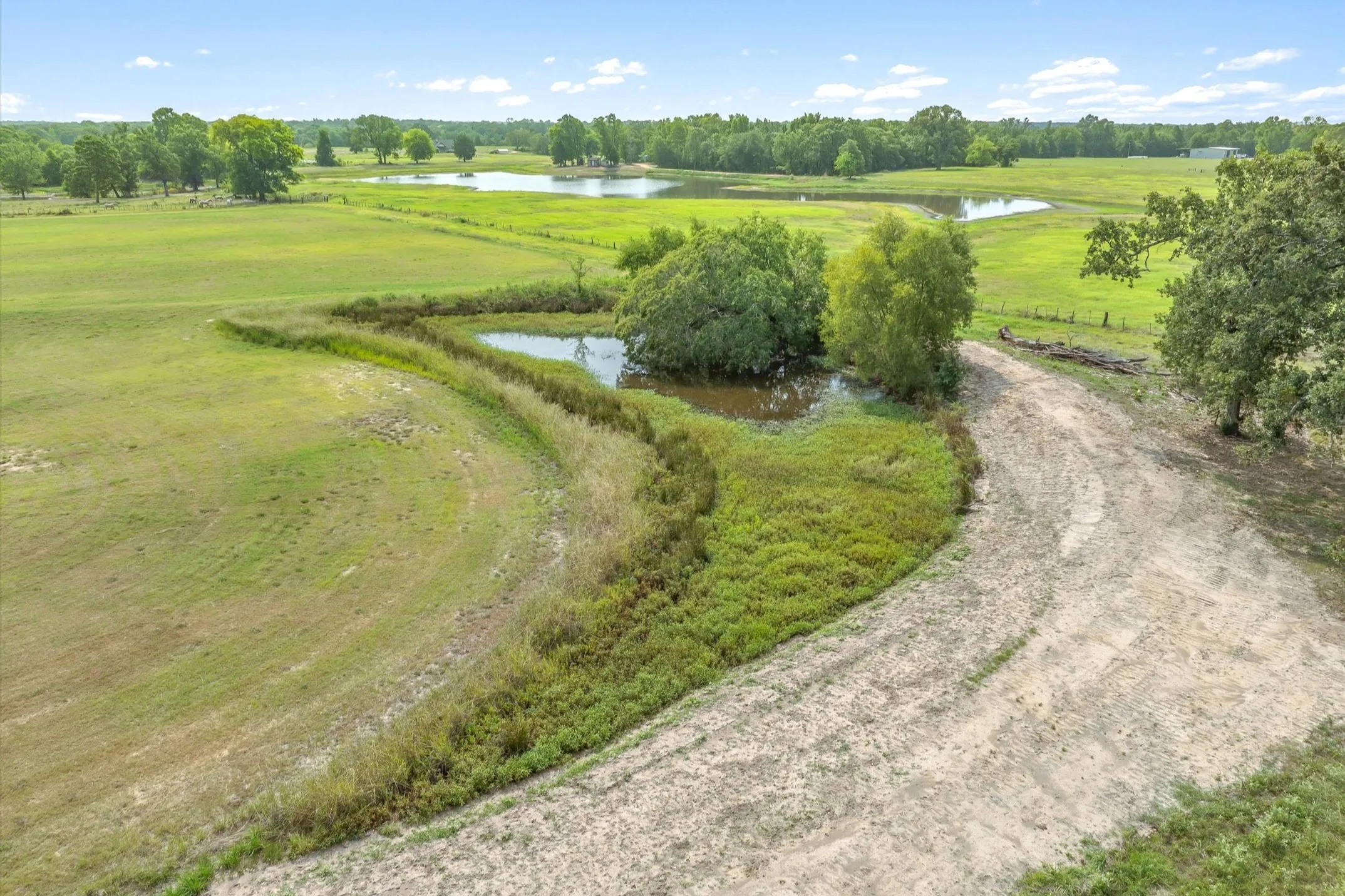 Ranch For Sale in Wood County , 000 County Road 2918, Mineola, Texas 75410, 0, 0, Garage spaces, 0 Sqft, built in 0, Price $962,780, mls#21155989, Real Estate Agent in Mineola, Homes For Sale in Wood county, Homes For Sale in Mineola, Realtor in Mineola Texas, Real Estate Brokerage Independent Realty Texas, Luminita Cordes Realtor