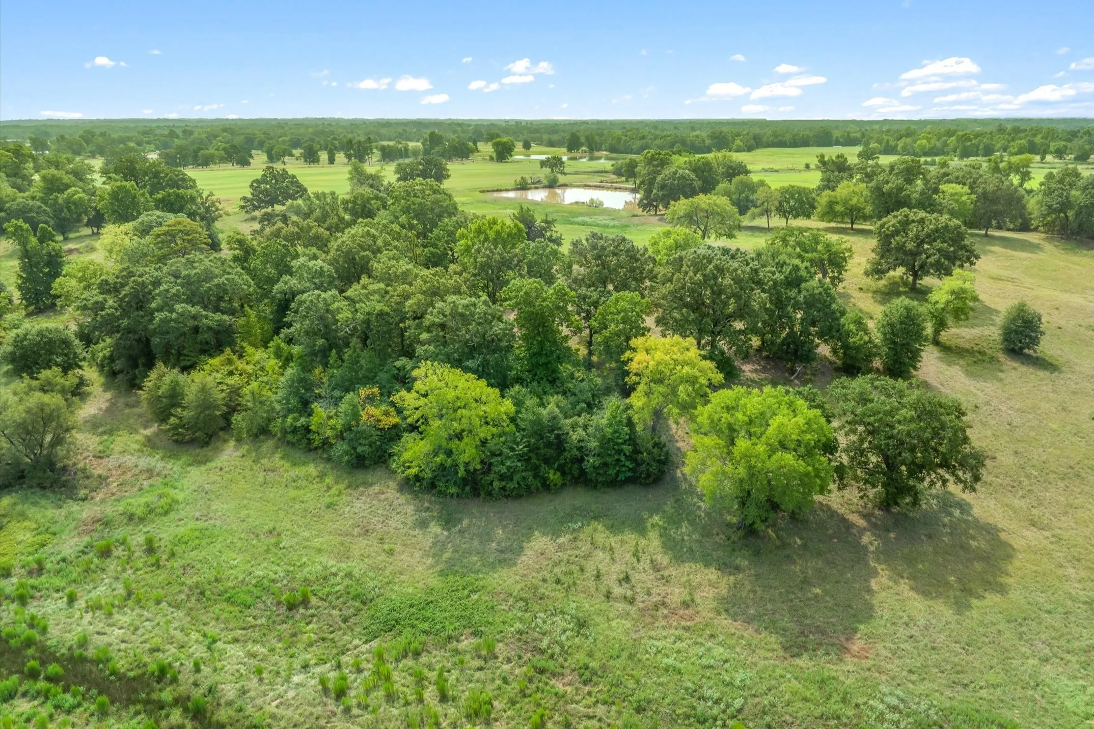 Ranch For Sale in Wood County , 000 County Road 2918, Mineola, Texas 75410, 0, 0, Garage spaces, 0 Sqft, built in 0, Price $962,780, mls#21155989, Real Estate Agent in Mineola, Homes For Sale in Wood county, Homes For Sale in Mineola, Realtor in Mineola Texas, Real Estate Brokerage Independent Realty Texas, Luminita Cordes Realtor