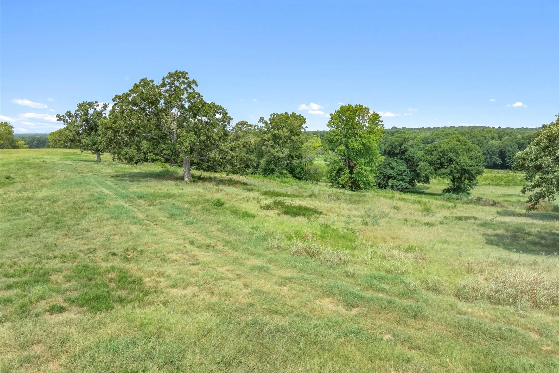 Ranch For Sale in Wood County , 000 County Road 2918, Mineola, Texas 75410, 0, 0, Garage spaces, 0 Sqft, built in 0, Price $962,780, mls#21155989, Real Estate Agent in Mineola, Homes For Sale in Wood county, Homes For Sale in Mineola, Realtor in Mineola Texas, Real Estate Brokerage Independent Realty Texas, Luminita Cordes Realtor