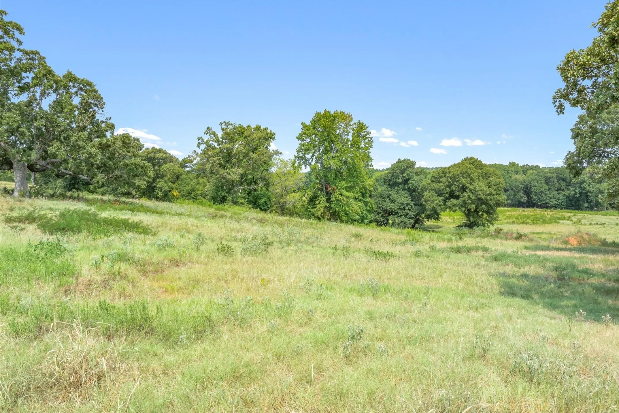 Ranch For Sale in Wood County , 000 County Road 2918, Mineola, Texas 75410, 0, 0, Garage spaces, 0 Sqft, built in 0, Price $962,780, mls#21155989, Real Estate Agent in Mineola, Homes For Sale in Wood county, Homes For Sale in Mineola, Realtor in Mineola Texas, Real Estate Brokerage Independent Realty Texas, Luminita Cordes Realtor