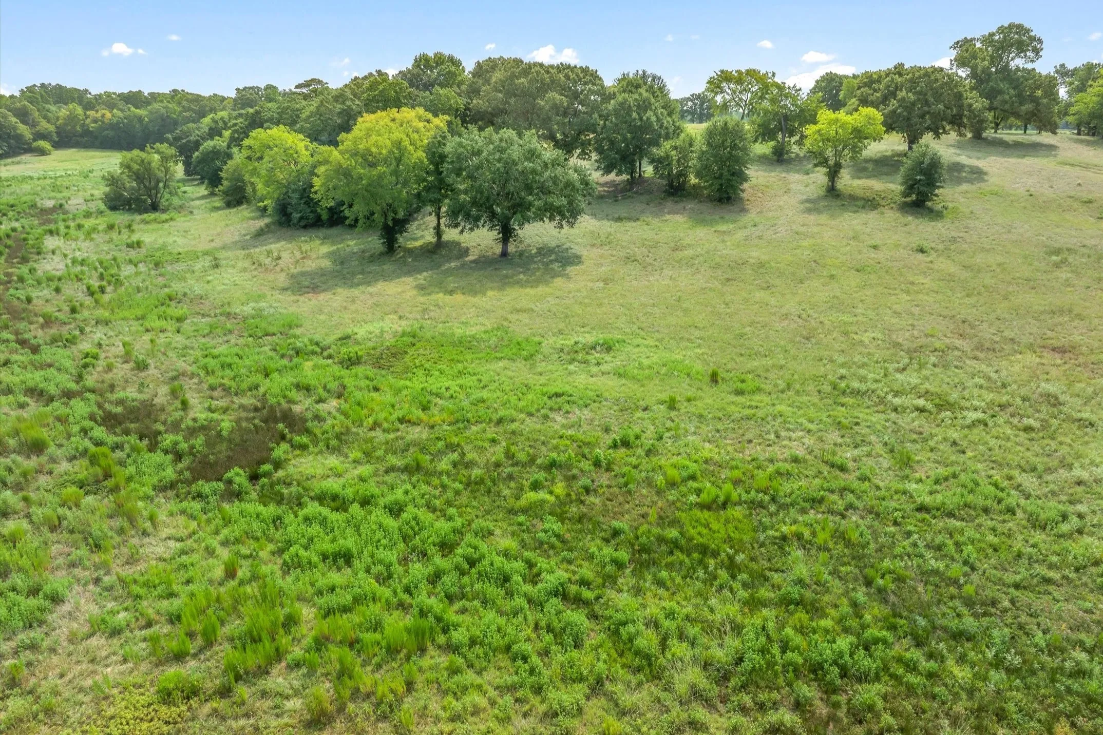 Ranch For Sale in Wood County , 000 County Road 2918, Mineola, Texas 75410, 0, 0, Garage spaces, 0 Sqft, built in 0, Price $962,780, mls#21155989, Real Estate Agent in Mineola, Homes For Sale in Wood county, Homes For Sale in Mineola, Realtor in Mineola Texas, Real Estate Brokerage Independent Realty Texas, Luminita Cordes Realtor