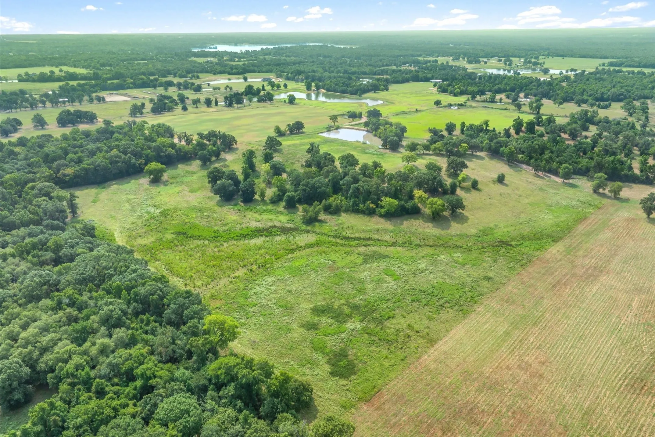 Ranch For Sale in Wood County , 000 County Road 2918, Mineola, Texas 75410, 0, 0, Garage spaces, 0 Sqft, built in 0, Price $962,780, mls#21155989, Real Estate Agent in Mineola, Homes For Sale in Wood county, Homes For Sale in Mineola, Realtor in Mineola Texas, Real Estate Brokerage Independent Realty Texas, Luminita Cordes Realtor