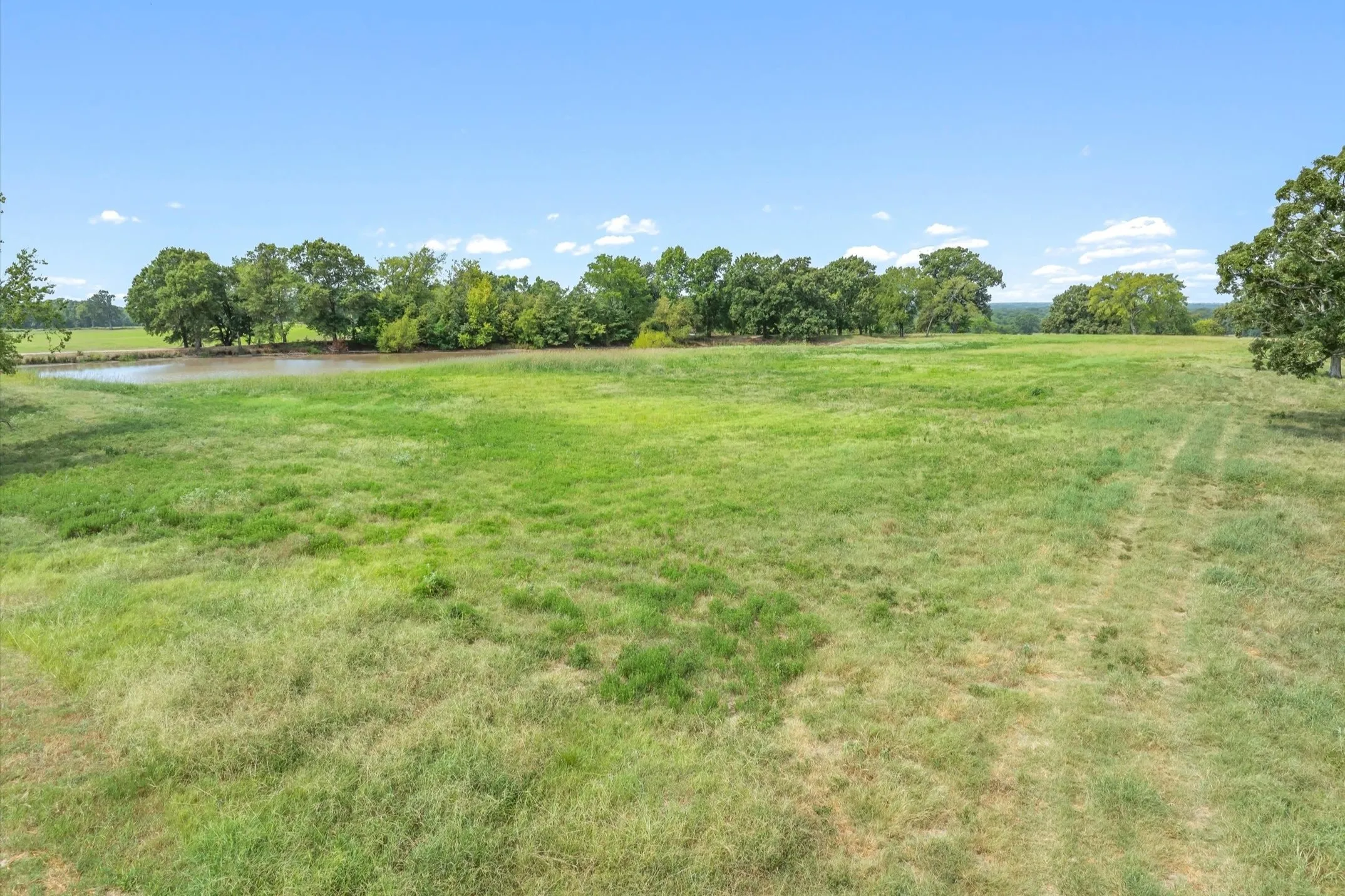 Ranch For Sale in Wood County , 000 County Road 2918, Mineola, Texas 75410, 0, 0, Garage spaces, 0 Sqft, built in 0, Price $962,780, mls#21155989, Real Estate Agent in Mineola, Homes For Sale in Wood county, Homes For Sale in Mineola, Realtor in Mineola Texas, Real Estate Brokerage Independent Realty Texas, Luminita Cordes Realtor