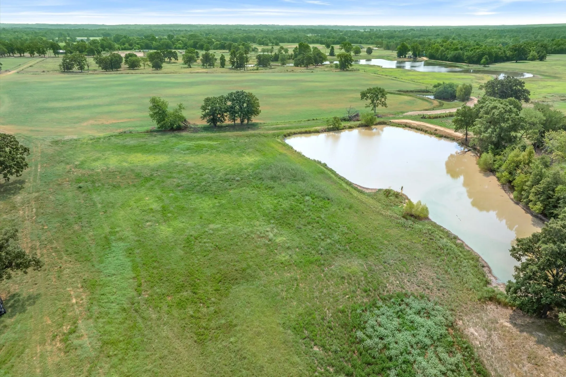 Ranch For Sale in Wood County , 000 County Road 2918, Mineola, Texas 75410, 0, 0, Garage spaces, 0 Sqft, built in 0, Price $962,780, mls#21155989, Real Estate Agent in Mineola, Homes For Sale in Wood county, Homes For Sale in Mineola, Realtor in Mineola Texas, Real Estate Brokerage Independent Realty Texas, Luminita Cordes Realtor