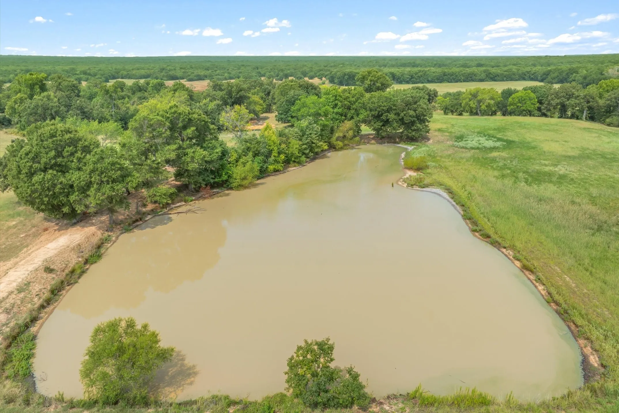 Ranch For Sale in Wood County , 000 County Road 2918, Mineola, Texas 75410, 0, 0, Garage spaces, 0 Sqft, built in 0, Price $962,780, mls#21155989, Real Estate Agent in Mineola, Homes For Sale in Wood county, Homes For Sale in Mineola, Realtor in Mineola Texas, Real Estate Brokerage Independent Realty Texas, Luminita Cordes Realtor