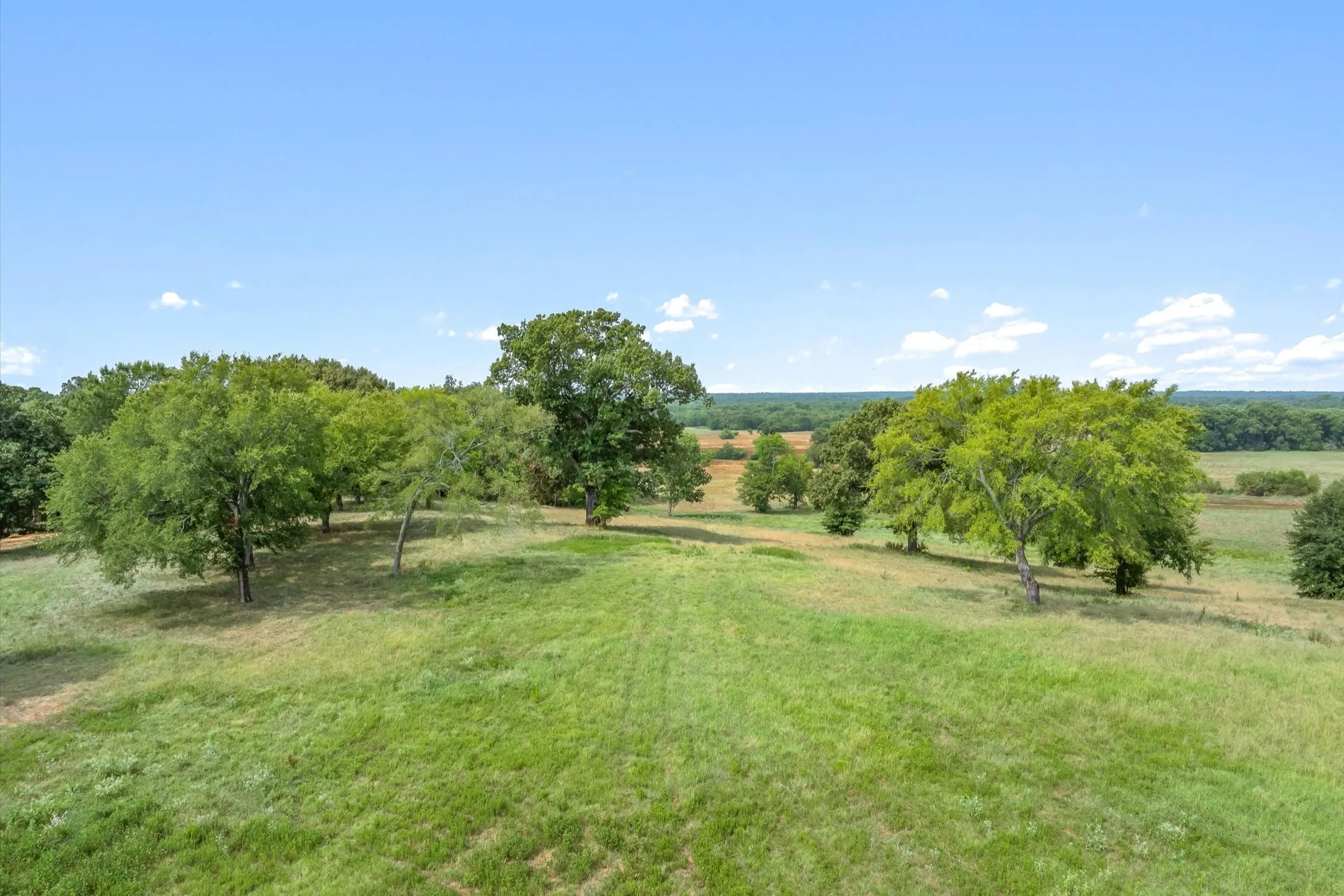 Ranch For Sale in Wood County , 000 County Road 2918, Mineola, Texas 75410, 0, 0, Garage spaces, 0 Sqft, built in 0, Price $962,780, mls#21155989, Real Estate Agent in Mineola, Homes For Sale in Wood county, Homes For Sale in Mineola, Realtor in Mineola Texas, Real Estate Brokerage Independent Realty Texas, Luminita Cordes Realtor