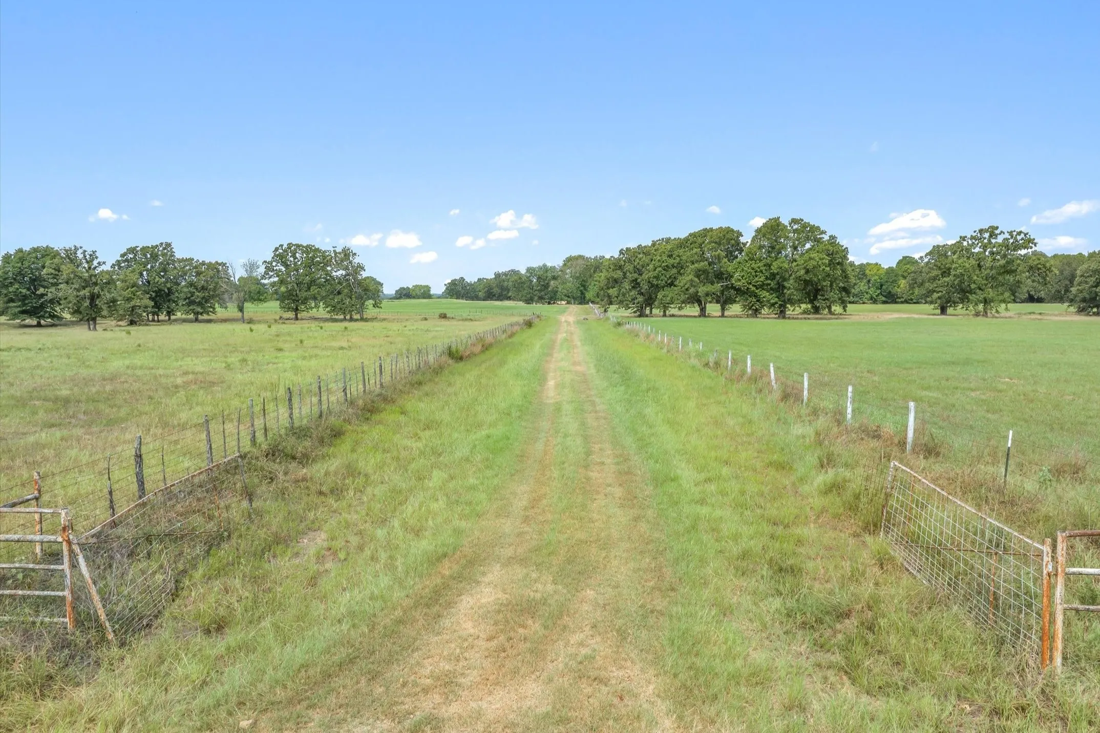 Ranch For Sale in Wood County , 000 County Road 2918, Mineola, Texas 75410, 0, 0, Garage spaces, 0 Sqft, built in 0, Price $962,780, mls#21155989, Real Estate Agent in Mineola, Homes For Sale in Wood county, Homes For Sale in Mineola, Realtor in Mineola Texas, Real Estate Brokerage Independent Realty Texas, Luminita Cordes Realtor