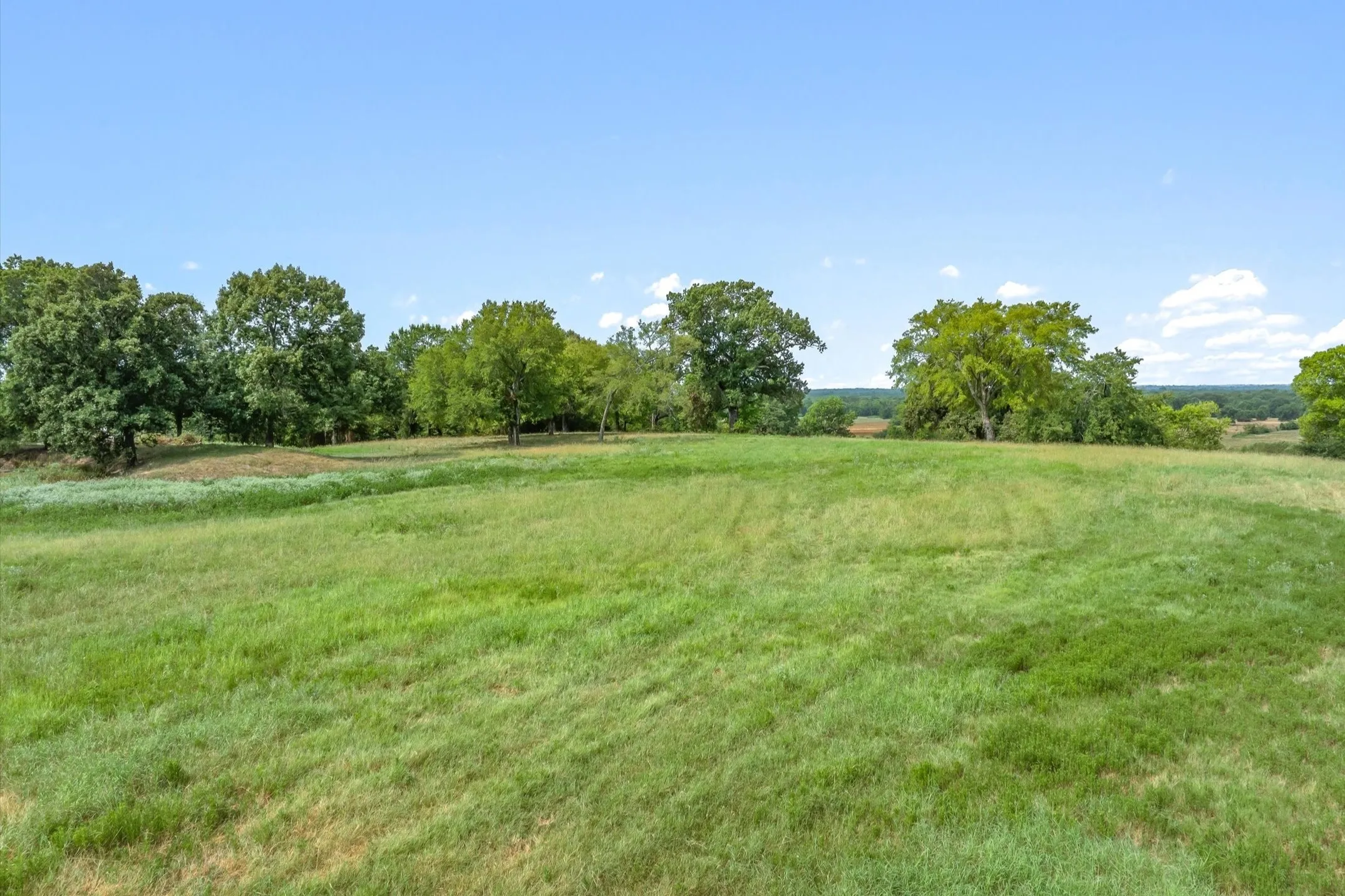 Ranch For Sale in Wood County , 000 County Road 2918, Mineola, Texas 75410, 0, 0, Garage spaces, 0 Sqft, built in 0, Price $962,780, mls#21155989, Real Estate Agent in Mineola, Homes For Sale in Wood county, Homes For Sale in Mineola, Realtor in Mineola Texas, Real Estate Brokerage Independent Realty Texas, Luminita Cordes Realtor