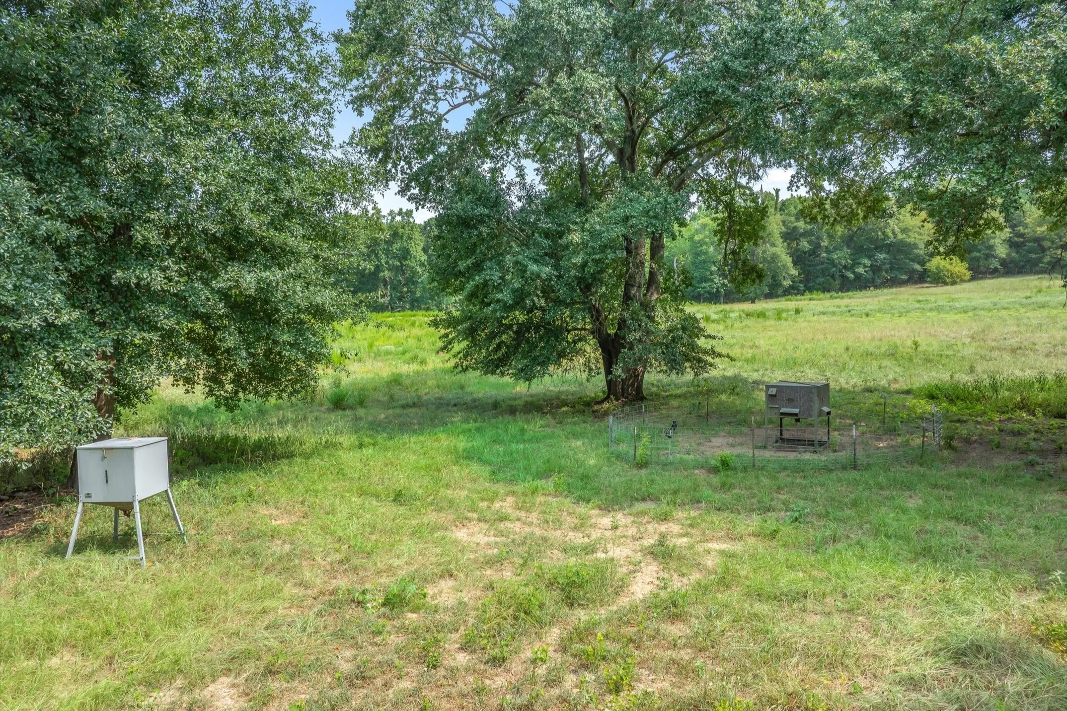 Ranch For Sale in Wood County , 000 County Road 2918, Mineola, Texas 75410, 0, 0, Garage spaces, 0 Sqft, built in 0, Price $962,780, mls#21155989, Real Estate Agent in Mineola, Homes For Sale in Wood county, Homes For Sale in Mineola, Realtor in Mineola Texas, Real Estate Brokerage Independent Realty Texas, Luminita Cordes Realtor