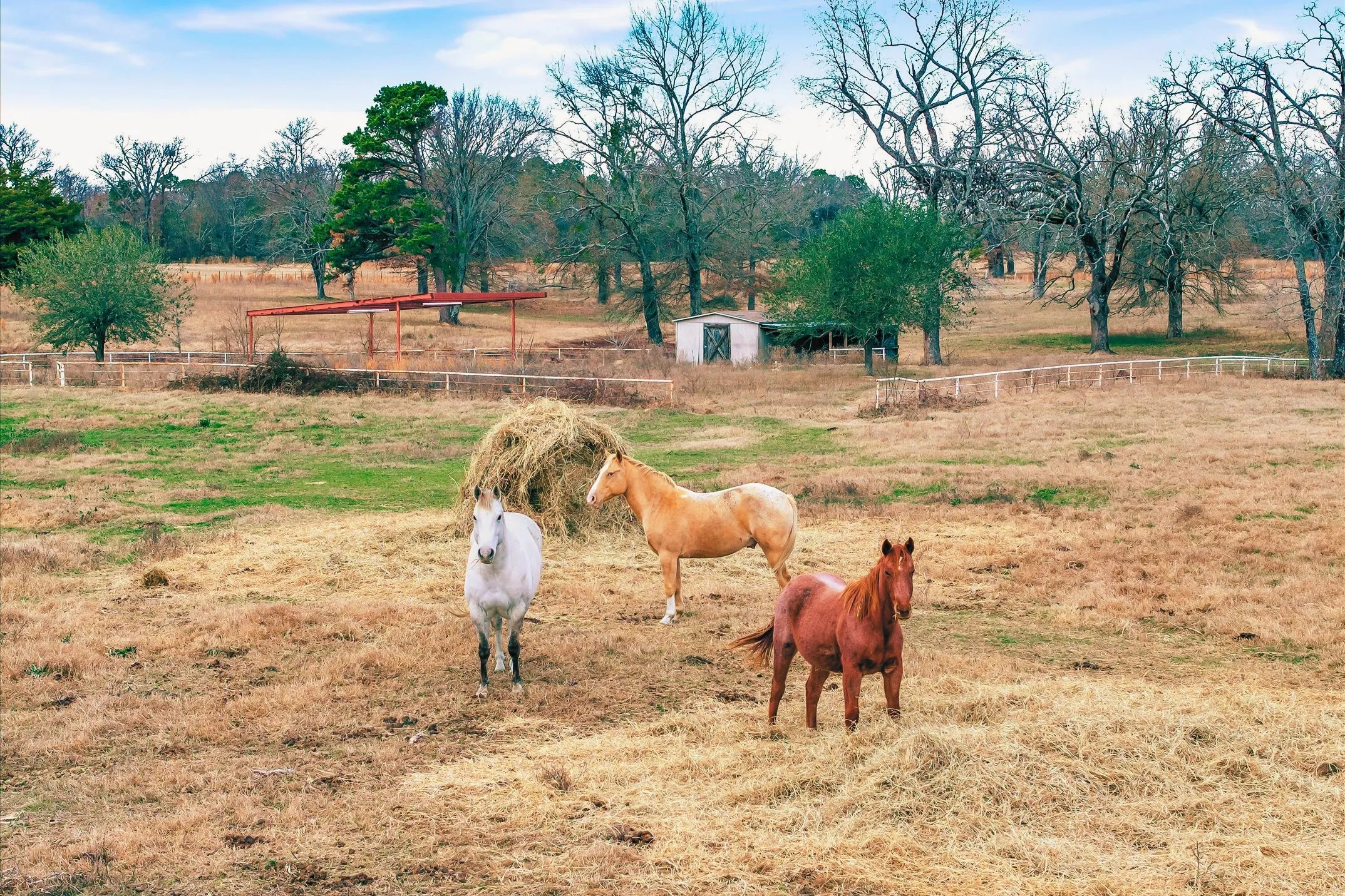 Ranch For Sale in Wood County , 000 County Road 2918, Mineola, Texas 75410, 0, 0, Garage spaces, 0 Sqft, built in 0, Price $962,780, mls#21155989, Real Estate Agent in Mineola, Homes For Sale in Wood county, Homes For Sale in Mineola, Realtor in Mineola Texas, Real Estate Brokerage Independent Realty Texas, Luminita Cordes Realtor