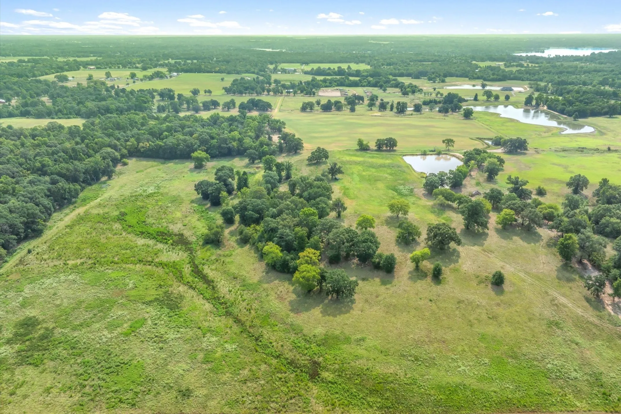 Ranch For Sale in Wood County , 000 County Road 2918, Mineola, Texas 75410, 0, 0, Garage spaces, 0 Sqft, built in 0, Price $962,780, mls#21155989, Real Estate Agent in Mineola, Homes For Sale in Wood county, Homes For Sale in Mineola, Realtor in Mineola Texas, Real Estate Brokerage Independent Realty Texas, Luminita Cordes Realtor