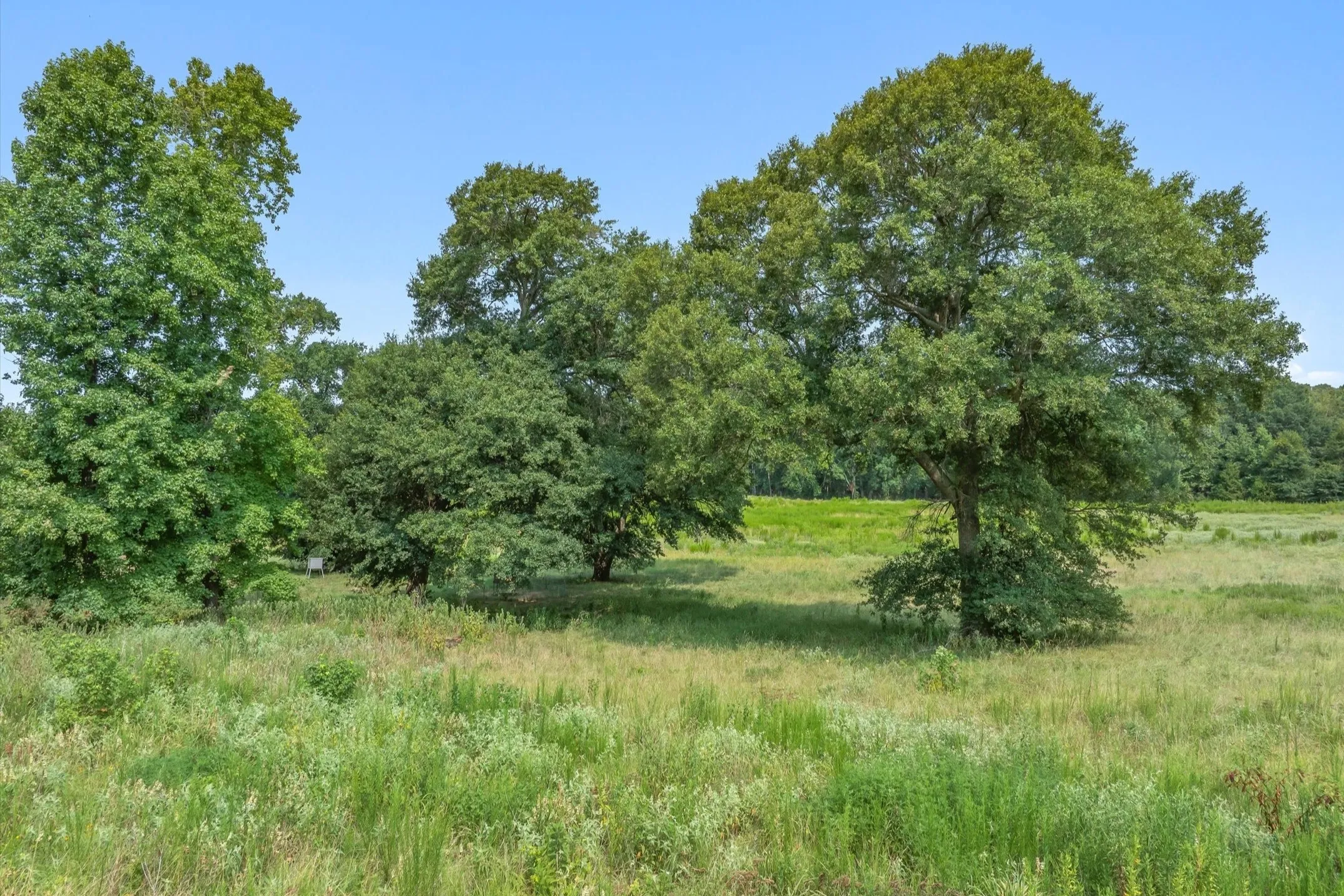Ranch For Sale in Wood County , 000 County Road 2918, Mineola, Texas 75410, 0, 0, Garage spaces, 0 Sqft, built in 0, Price $962,780, mls#21155989, Real Estate Agent in Mineola, Homes For Sale in Wood county, Homes For Sale in Mineola, Realtor in Mineola Texas, Real Estate Brokerage Independent Realty Texas, Luminita Cordes Realtor