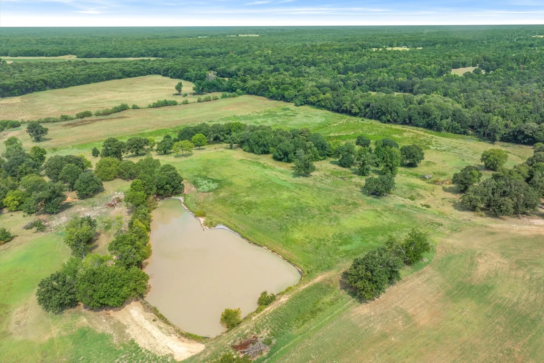 Ranch For Sale in Wood County , 000 County Road 2918, Mineola, Texas 75410, 0, 0, Garage spaces, 0 Sqft, built in 0, Price $962,780, mls#21155989, Real Estate Agent in Mineola, Homes For Sale in Wood county, Homes For Sale in Mineola, Realtor in Mineola Texas, Real Estate Brokerage Independent Realty Texas, Luminita Cordes Realtor