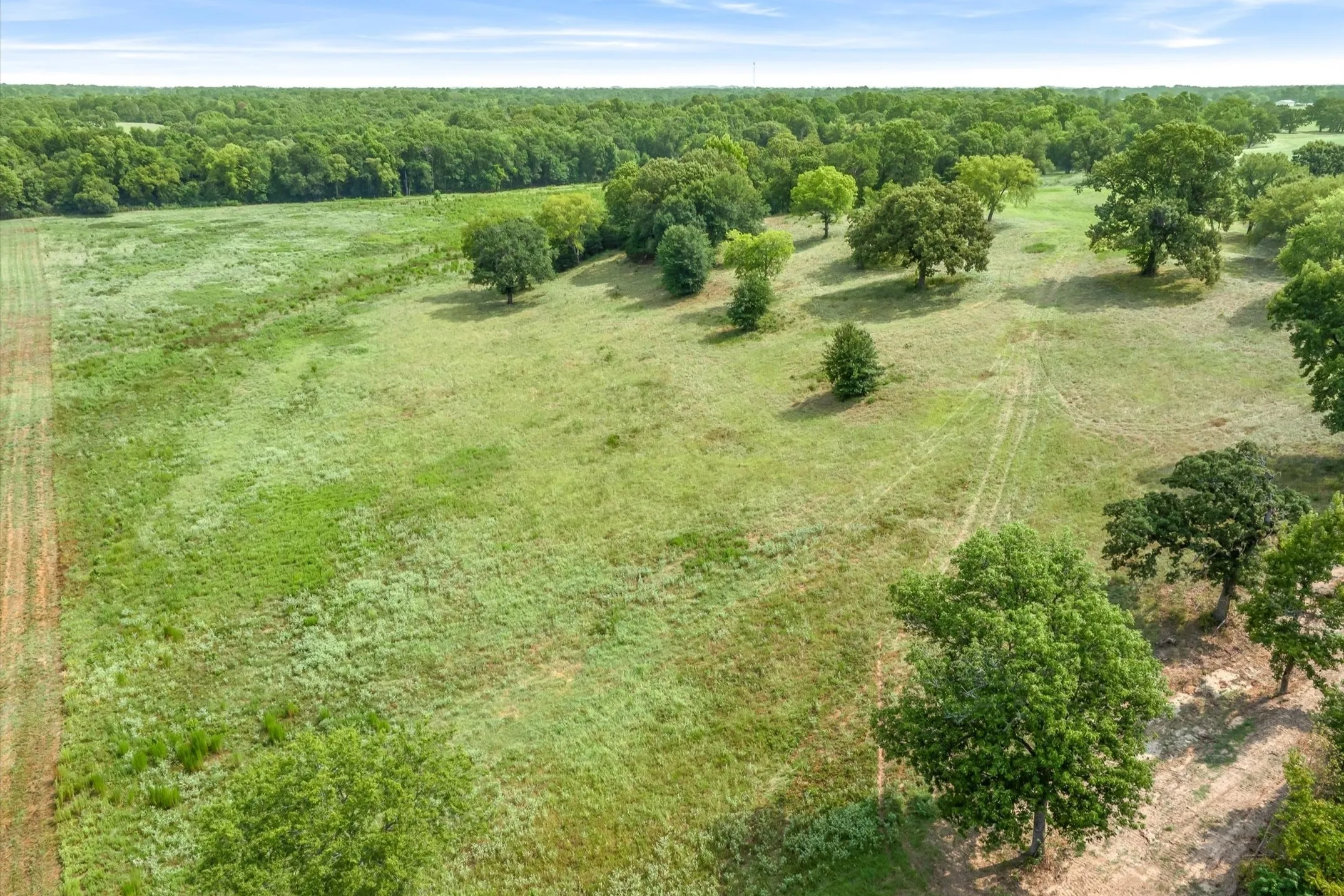 Ranch For Sale in Wood County , 000 County Road 2918, Mineola, Texas 75410, 0, 0, Garage spaces, 0 Sqft, built in 0, Price $962,780, mls#21155989, Real Estate Agent in Mineola, Homes For Sale in Wood county, Homes For Sale in Mineola, Realtor in Mineola Texas, Real Estate Brokerage Independent Realty Texas, Luminita Cordes Realtor