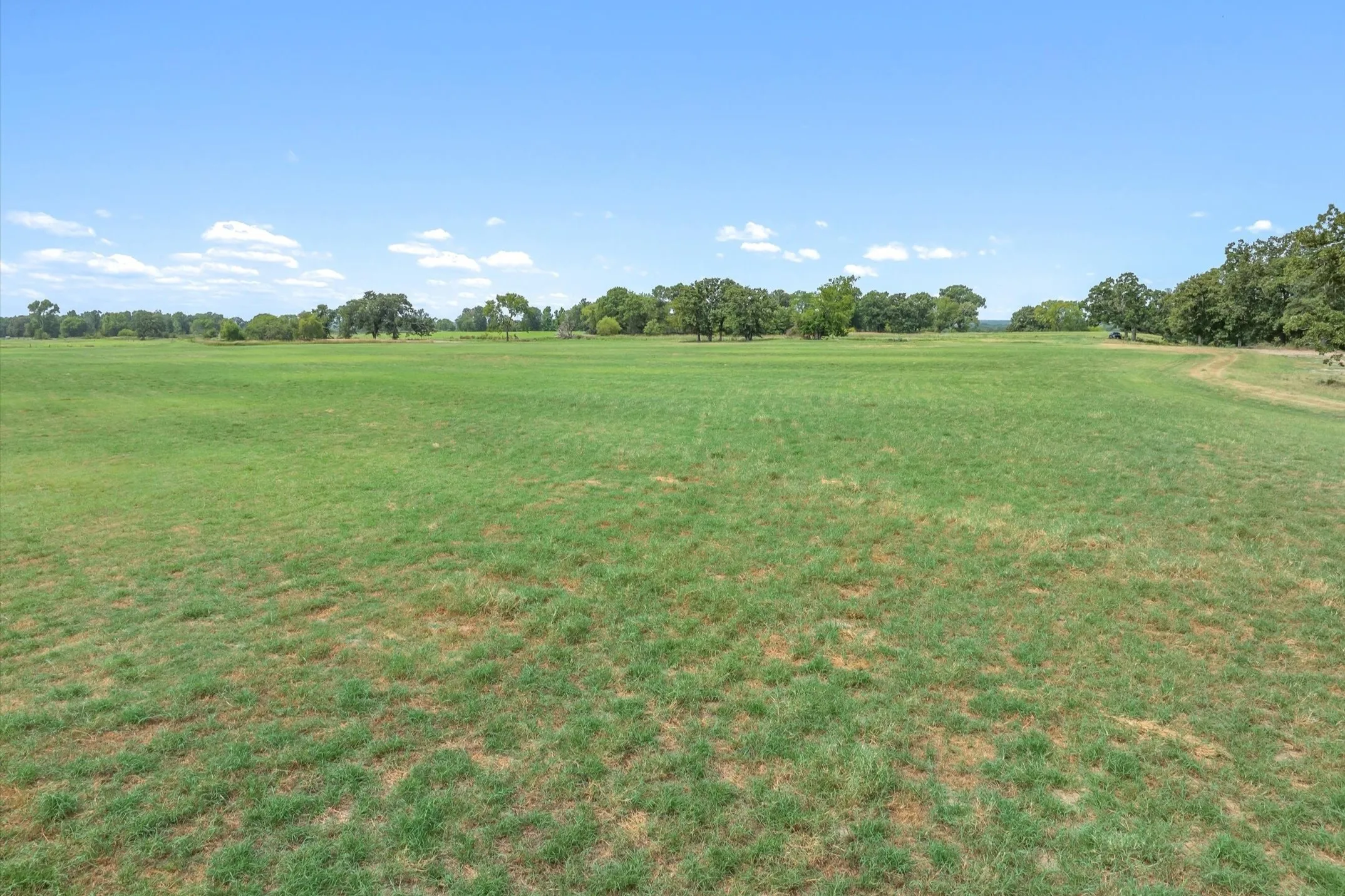 Ranch For Sale in Wood County , 000 County Road 2918, Mineola, Texas 75410, 0, 0, Garage spaces, 0 Sqft, built in 0, Price $962,780, mls#21155989, Real Estate Agent in Mineola, Homes For Sale in Wood county, Homes For Sale in Mineola, Realtor in Mineola Texas, Real Estate Brokerage Independent Realty Texas, Luminita Cordes Realtor