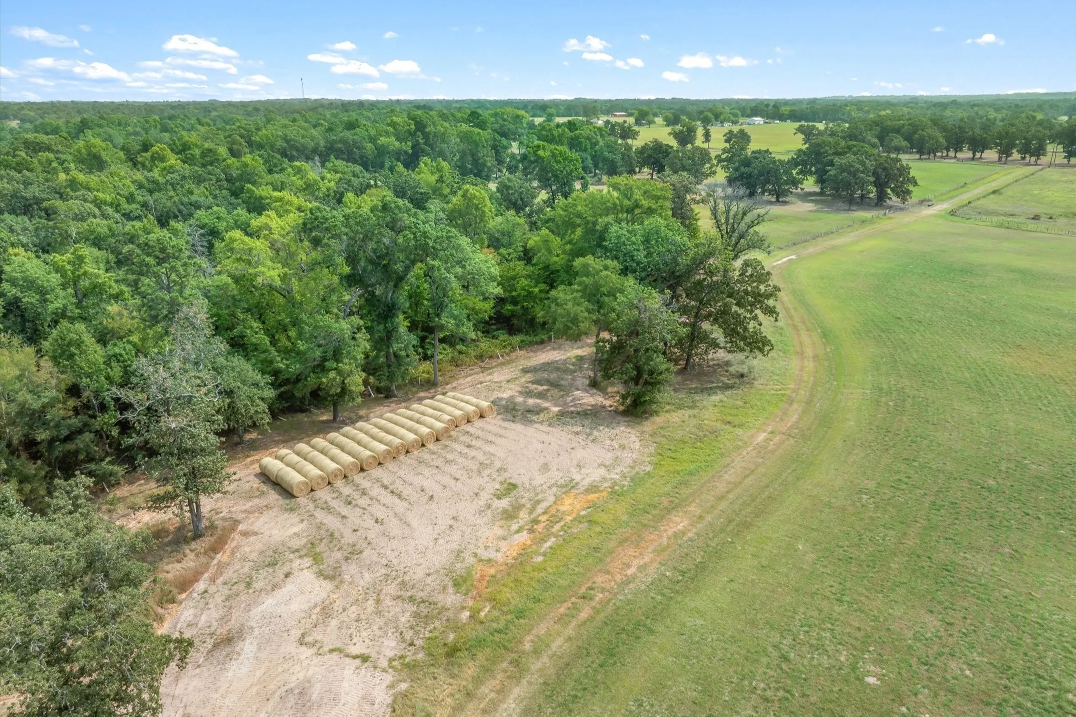 Ranch For Sale in Wood County , 000 County Road 2918, Mineola, Texas 75410, 0, 0, Garage spaces, 0 Sqft, built in 0, Price $962,780, mls#21155989, Real Estate Agent in Mineola, Homes For Sale in Wood county, Homes For Sale in Mineola, Realtor in Mineola Texas, Real Estate Brokerage Independent Realty Texas, Luminita Cordes Realtor