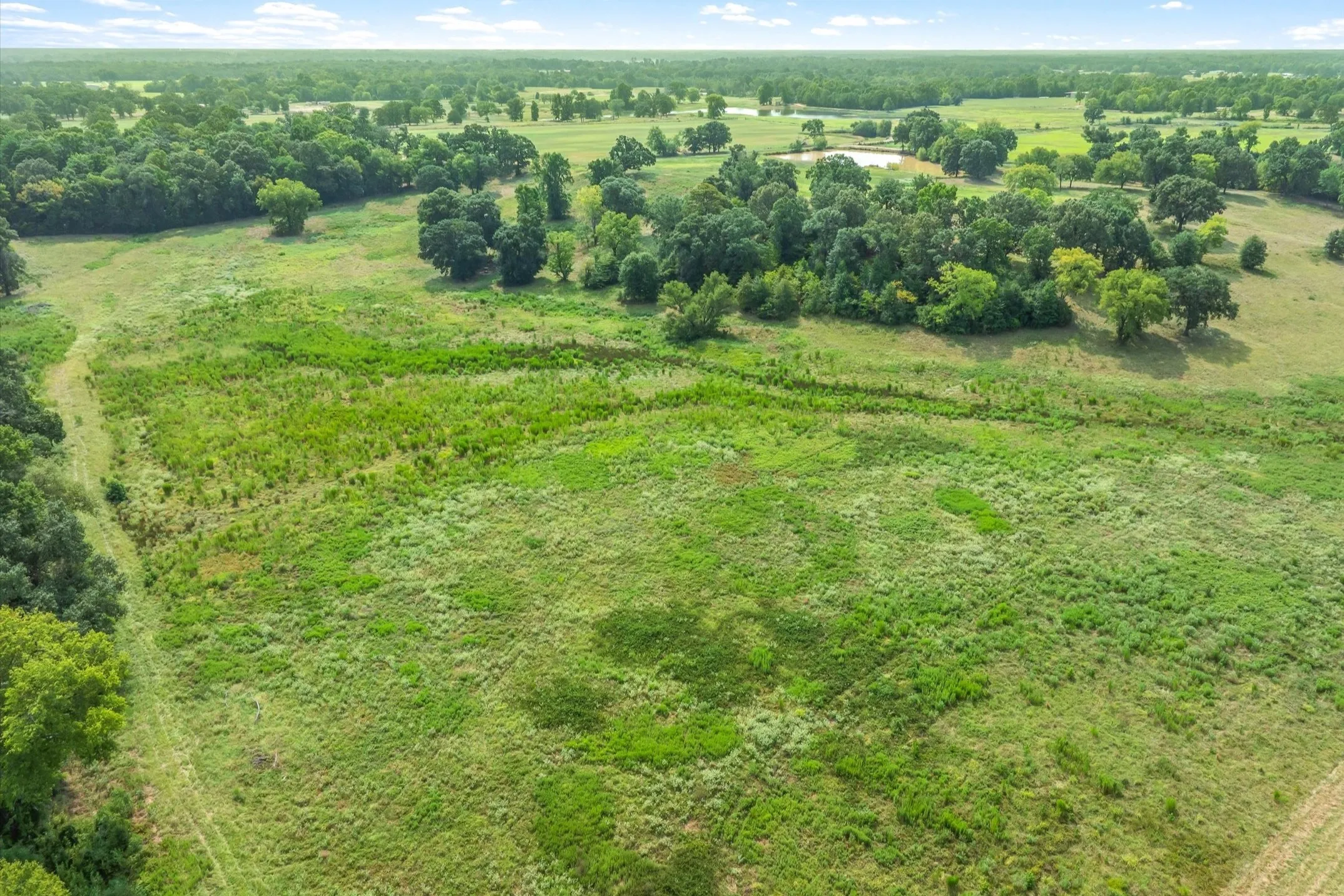 Ranch For Sale in Wood County , 000 County Road 2918, Mineola, Texas 75410, 0, 0, Garage spaces, 0 Sqft, built in 0, Price $962,780, mls#21155989, Real Estate Agent in Mineola, Homes For Sale in Wood county, Homes For Sale in Mineola, Realtor in Mineola Texas, Real Estate Brokerage Independent Realty Texas, Luminita Cordes Realtor