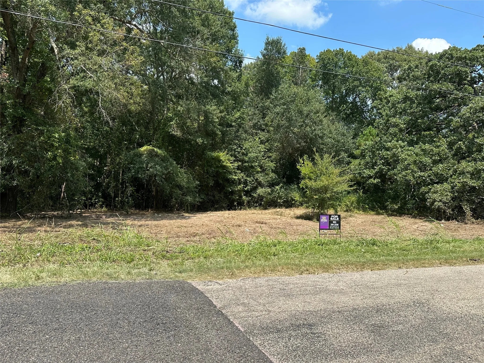 Unimproved Land For Sale in Henderson County , TBD Sandbog, Athens, Texas 75751, 0, 0, Garage spaces, 0 Sqft, built in 0, Price $85,000, mls#21165314, Real Estate Agent in Athens, Homes For Sale in Henderson county, Homes For Sale in Athens, Realtor in Athens Texas, Real Estate Brokerage Independent Realty Texas, Luminita Cordes Realtor