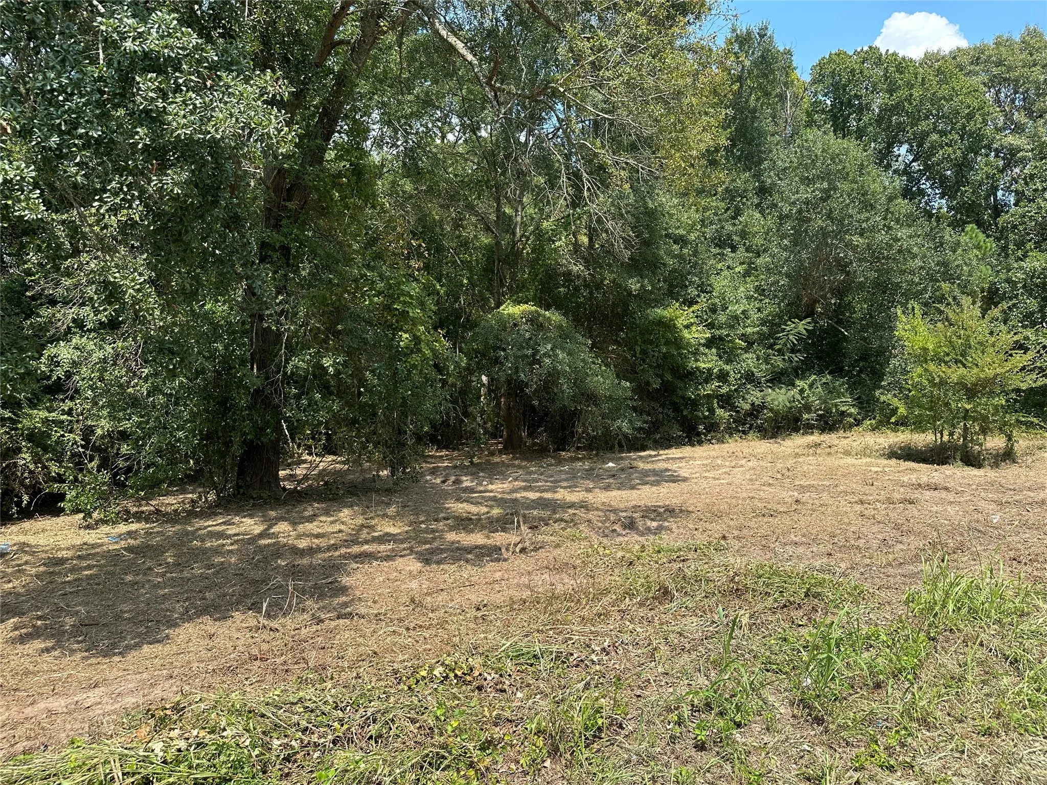 Unimproved Land For Sale in Henderson County , TBD Sandbog, Athens, Texas 75751, 0, 0, Garage spaces, 0 Sqft, built in 0, Price $85,000, mls#21165314, Real Estate Agent in Athens, Homes For Sale in Henderson county, Homes For Sale in Athens, Realtor in Athens Texas, Real Estate Brokerage Independent Realty Texas, Luminita Cordes Realtor
