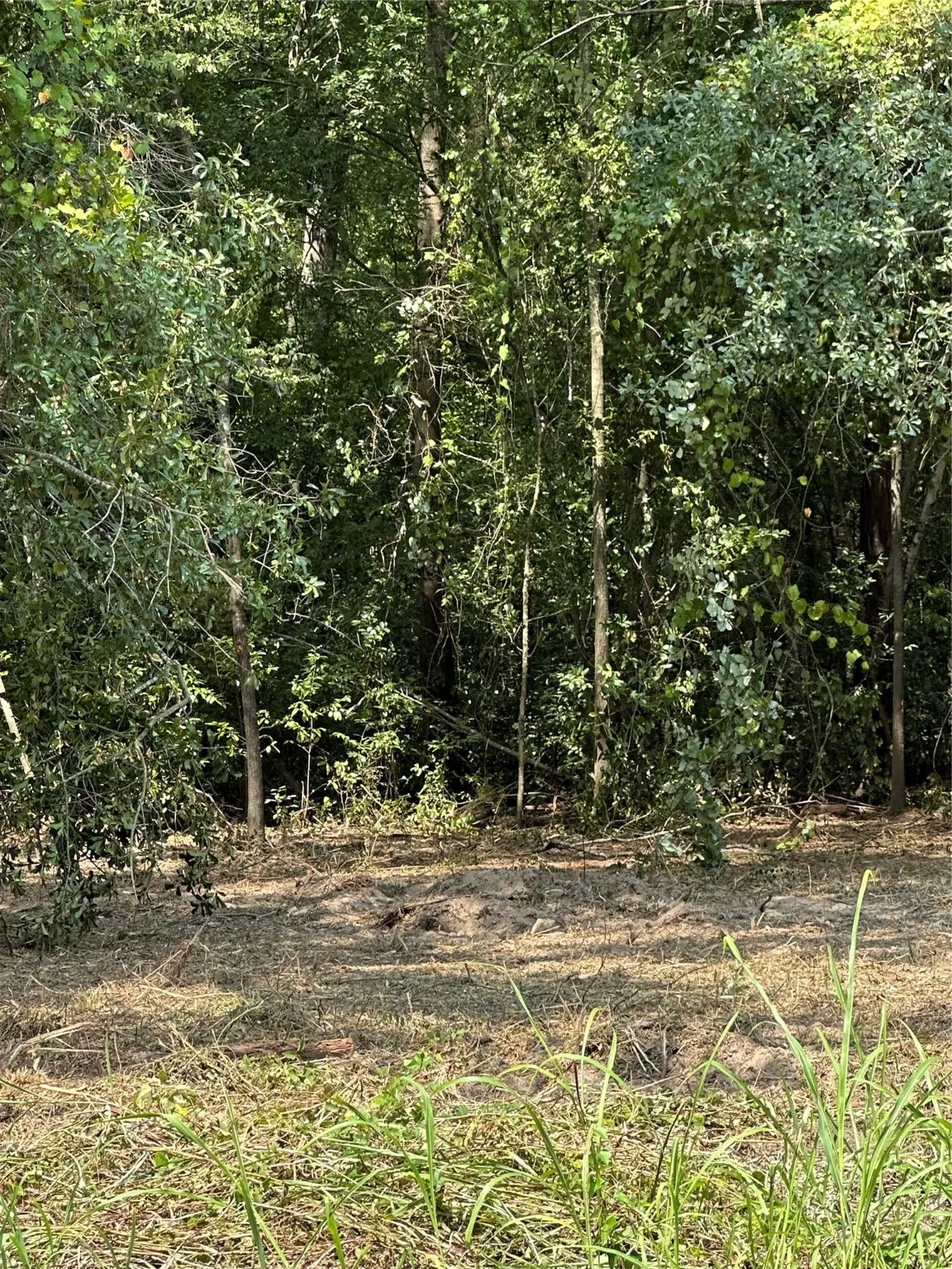 Unimproved Land For Sale in Henderson County , TBD Sandbog, Athens, Texas 75751, 0, 0, Garage spaces, 0 Sqft, built in 0, Price $85,000, mls#21165314, Real Estate Agent in Athens, Homes For Sale in Henderson county, Homes For Sale in Athens, Realtor in Athens Texas, Real Estate Brokerage Independent Realty Texas, Luminita Cordes Realtor