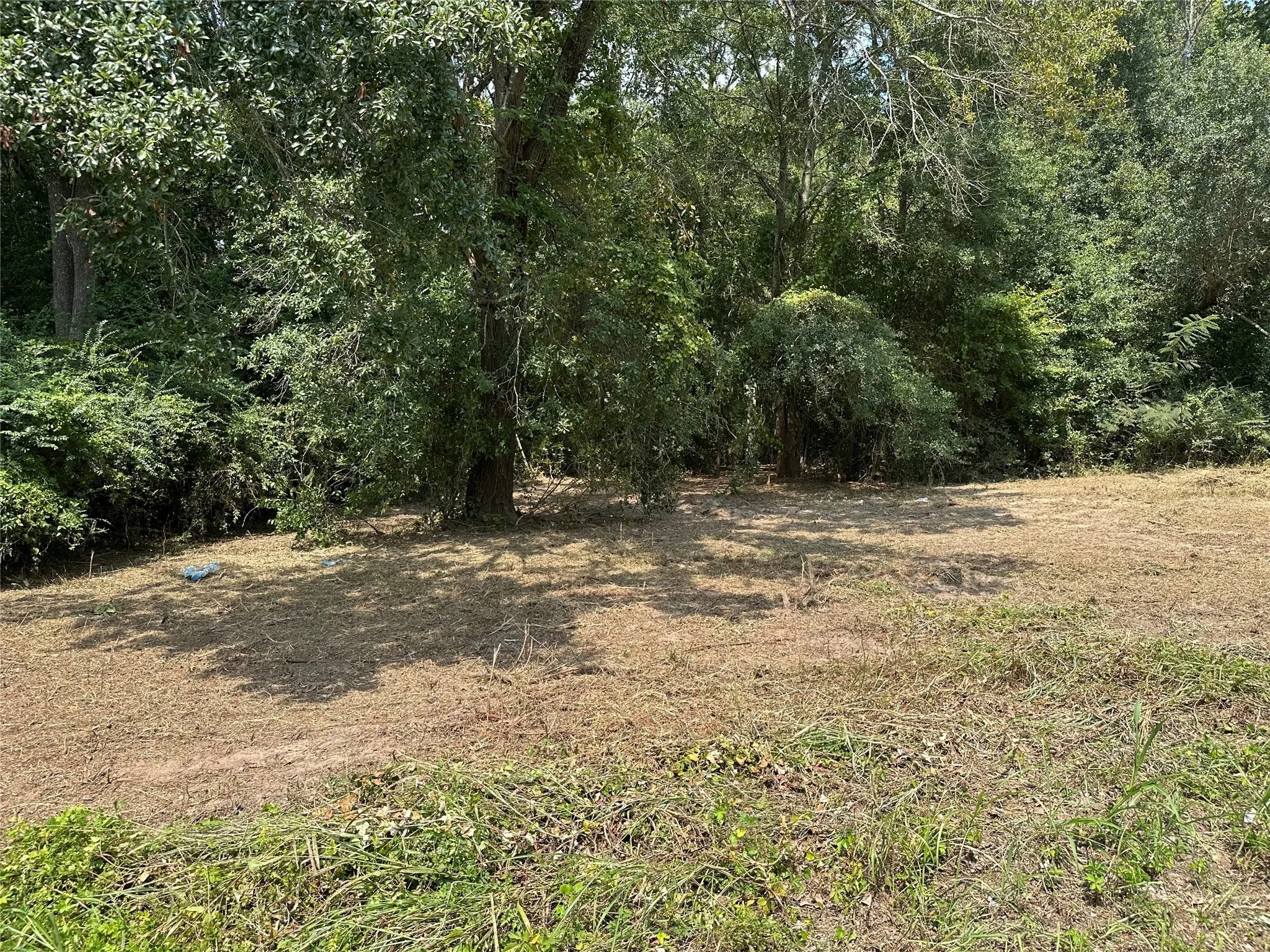 Unimproved Land For Sale in Henderson County , TBD Sandbog, Athens, Texas 75751, 0, 0, Garage spaces, 0 Sqft, built in 0, Price $85,000, mls#21165314, Real Estate Agent in Athens, Homes For Sale in Henderson county, Homes For Sale in Athens, Realtor in Athens Texas, Real Estate Brokerage Independent Realty Texas, Luminita Cordes Realtor