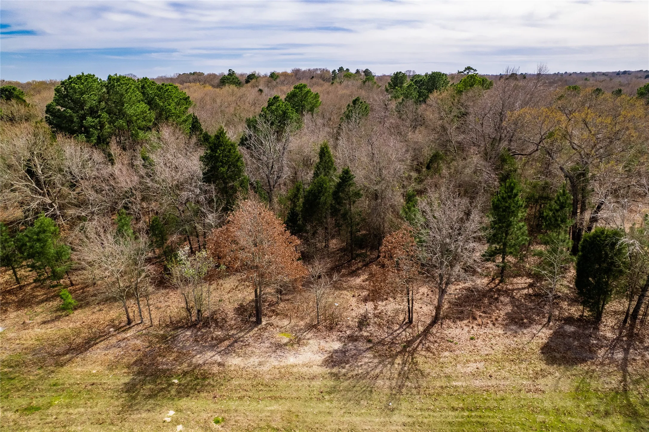 Unimproved Land For Sale in Henderson County , TBD Sandbog, Athens, Texas 75751, 0, 0, Garage spaces, 0 Sqft, built in 0, Price $85,000, mls#21165314, Real Estate Agent in Athens, Homes For Sale in Henderson county, Homes For Sale in Athens, Realtor in Athens Texas, Real Estate Brokerage Independent Realty Texas, Luminita Cordes Realtor