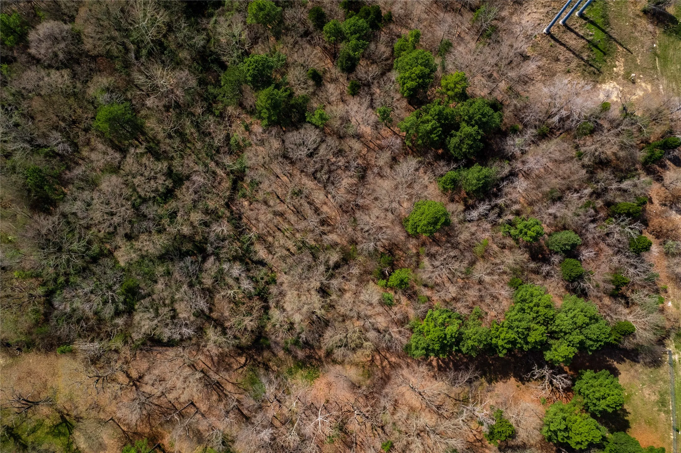 Unimproved Land For Sale in Henderson County , TBD Sandbog, Athens, Texas 75751, 0, 0, Garage spaces, 0 Sqft, built in 0, Price $85,000, mls#21165314, Real Estate Agent in Athens, Homes For Sale in Henderson county, Homes For Sale in Athens, Realtor in Athens Texas, Real Estate Brokerage Independent Realty Texas, Luminita Cordes Realtor