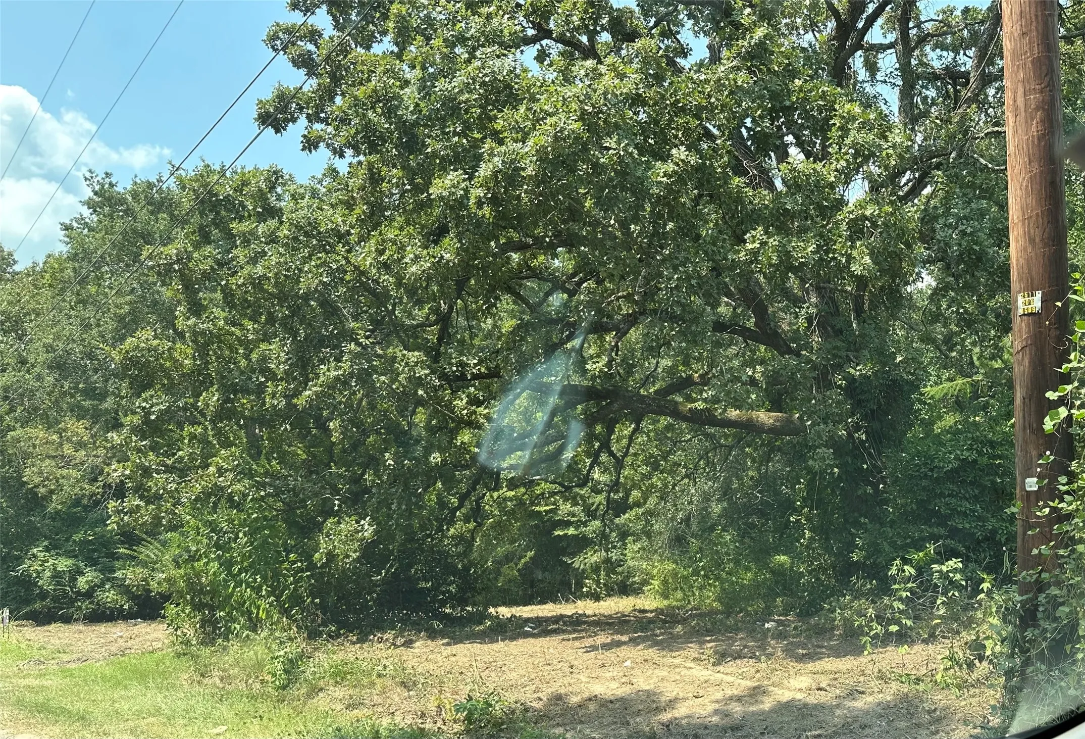 Unimproved Land For Sale in Henderson County , TBD Sandbog, Athens, Texas 75751, 0, 0, Garage spaces, 0 Sqft, built in 0, Price $85,000, mls#21165314, Real Estate Agent in Athens, Homes For Sale in Henderson county, Homes For Sale in Athens, Realtor in Athens Texas, Real Estate Brokerage Independent Realty Texas, Luminita Cordes Realtor