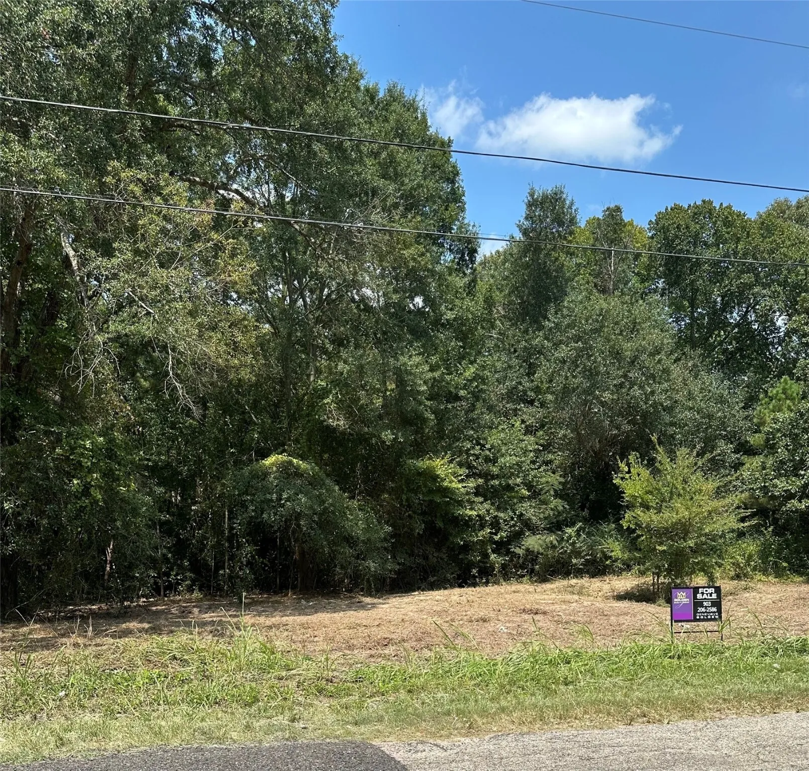 Unimproved Land For Sale in Henderson County , TBD Sandbog, Athens, Texas 75751, 0, 0, Garage spaces, 0 Sqft, built in 0, Price $85,000, mls#21165314, Real Estate Agent in Athens, Homes For Sale in Henderson county, Homes For Sale in Athens, Realtor in Athens Texas, Real Estate Brokerage Independent Realty Texas, Luminita Cordes Realtor