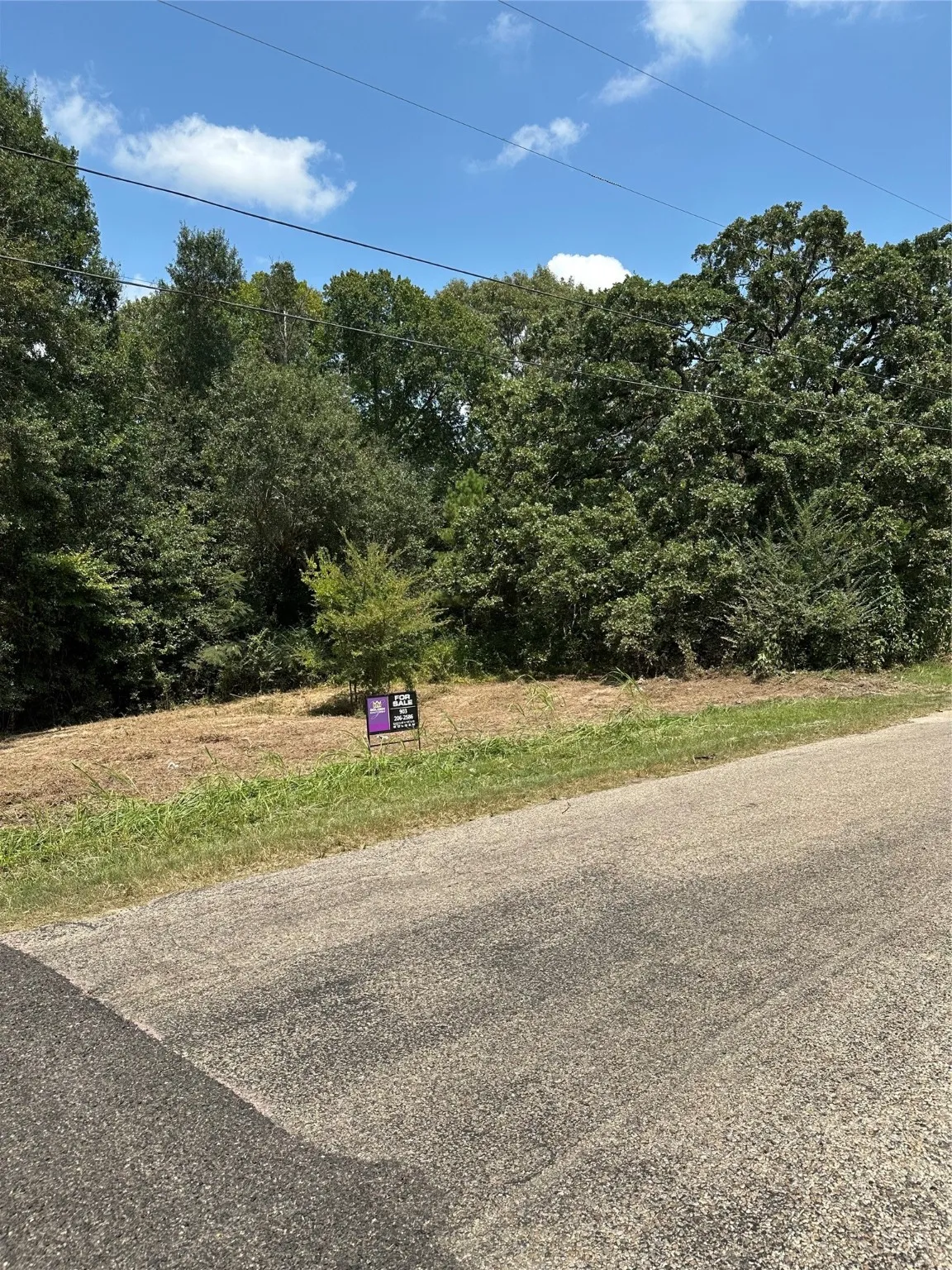 Unimproved Land For Sale in Henderson County , TBD Sandbog, Athens, Texas 75751, 0, 0, Garage spaces, 0 Sqft, built in 0, Price $85,000, mls#21165314, Real Estate Agent in Athens, Homes For Sale in Henderson county, Homes For Sale in Athens, Realtor in Athens Texas, Real Estate Brokerage Independent Realty Texas, Luminita Cordes Realtor
