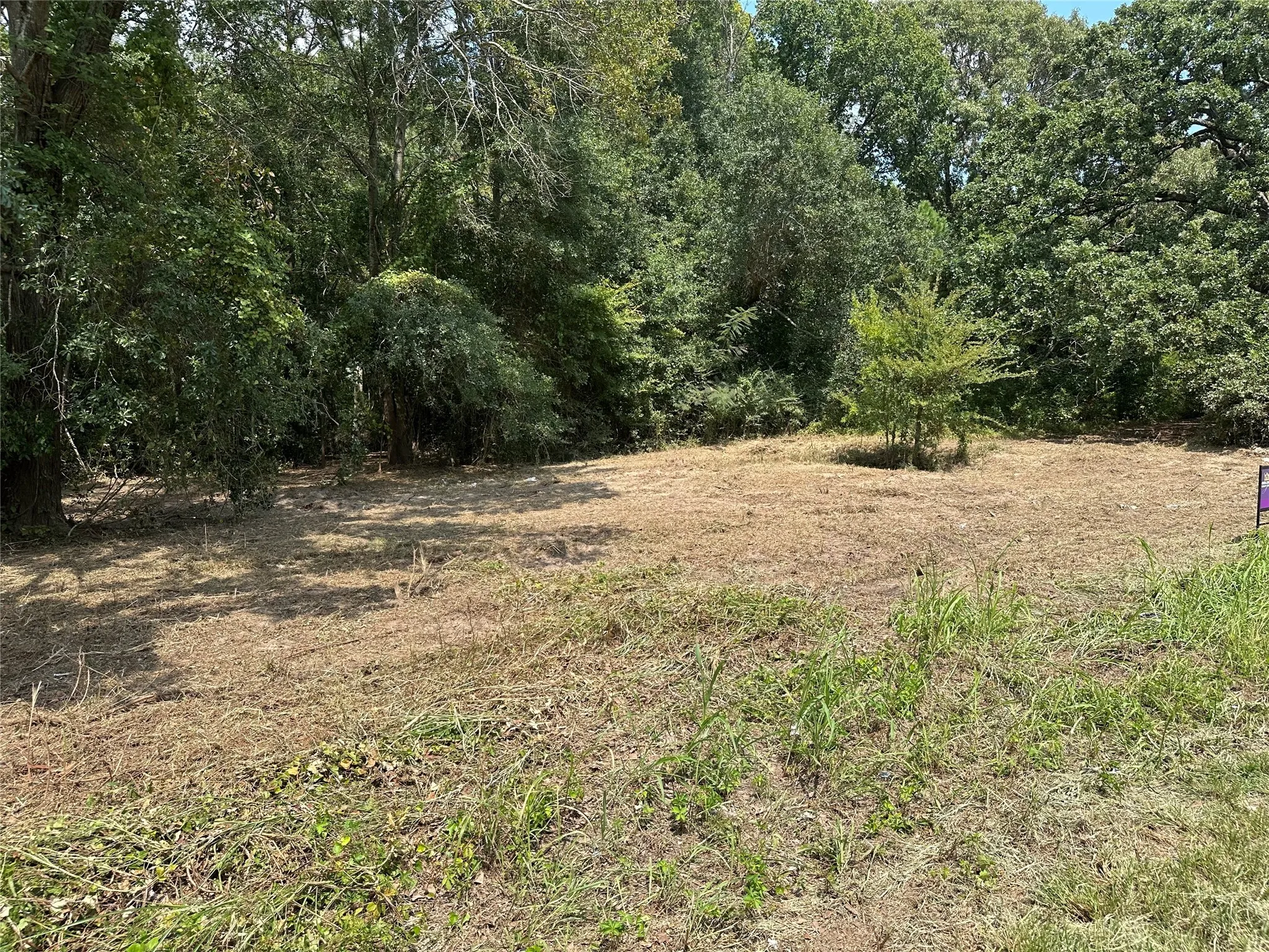 Unimproved Land For Sale in Henderson County , TBD Sandbog, Athens, Texas 75751, 0, 0, Garage spaces, 0 Sqft, built in 0, Price $85,000, mls#21165314, Real Estate Agent in Athens, Homes For Sale in Henderson county, Homes For Sale in Athens, Realtor in Athens Texas, Real Estate Brokerage Independent Realty Texas, Luminita Cordes Realtor