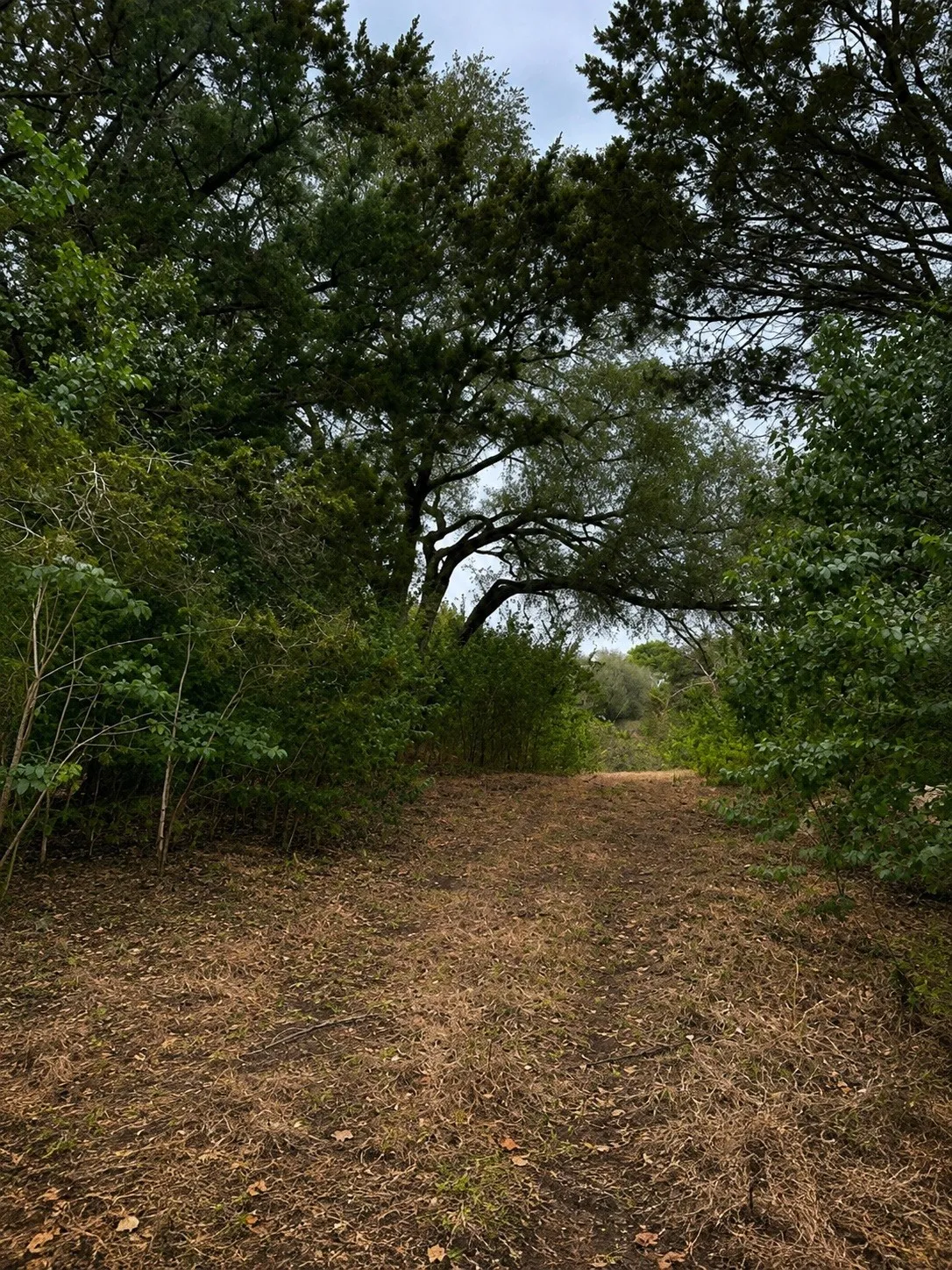 Improved Land For Sale in Hill County , 262 Palomino Loop, Whitney, Texas 76692, 0, 0, Garage spaces, 0 Sqft, built in 0, mls#21165411, Real Estate Agent in Whitney, Homes For Sale in Hill county, Homes For Sale in Whitney, Realtor in Whitney Texas, Real Estate Brokerage Independent Realty Texas, Luminita Cordes Realtor