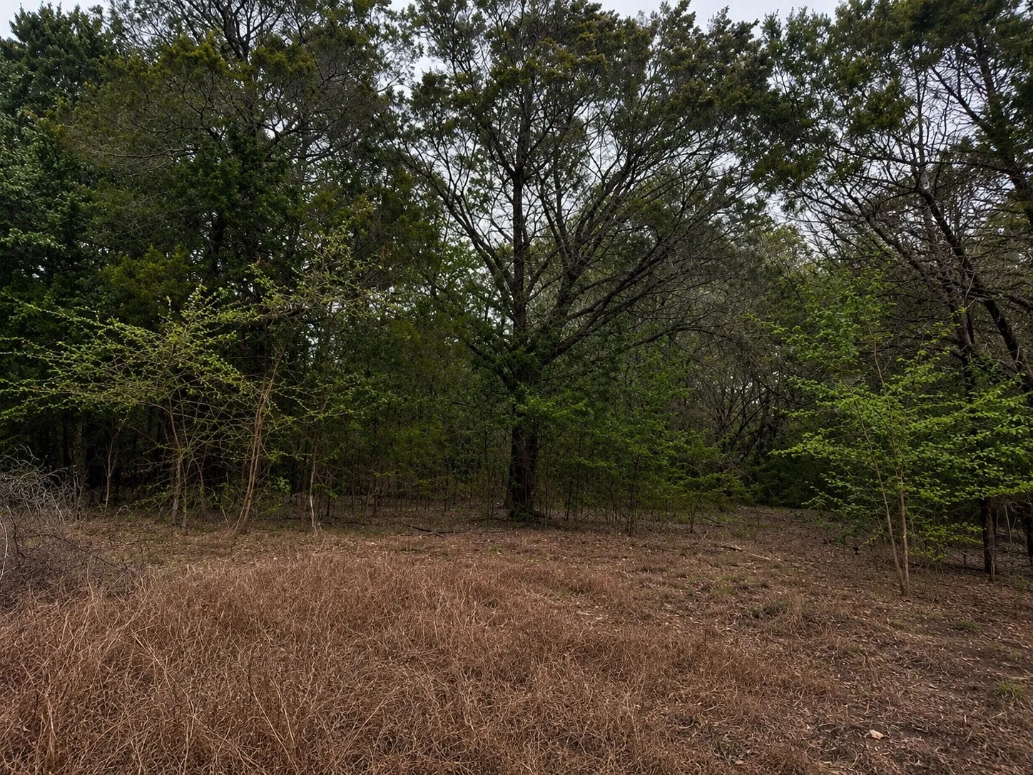 Improved Land For Sale in Hill County , 262 Palomino Loop, Whitney, Texas 76692, 0, 0, Garage spaces, 0 Sqft, built in 0, mls#21165411, Real Estate Agent in Whitney, Homes For Sale in Hill county, Homes For Sale in Whitney, Realtor in Whitney Texas, Real Estate Brokerage Independent Realty Texas, Luminita Cordes Realtor