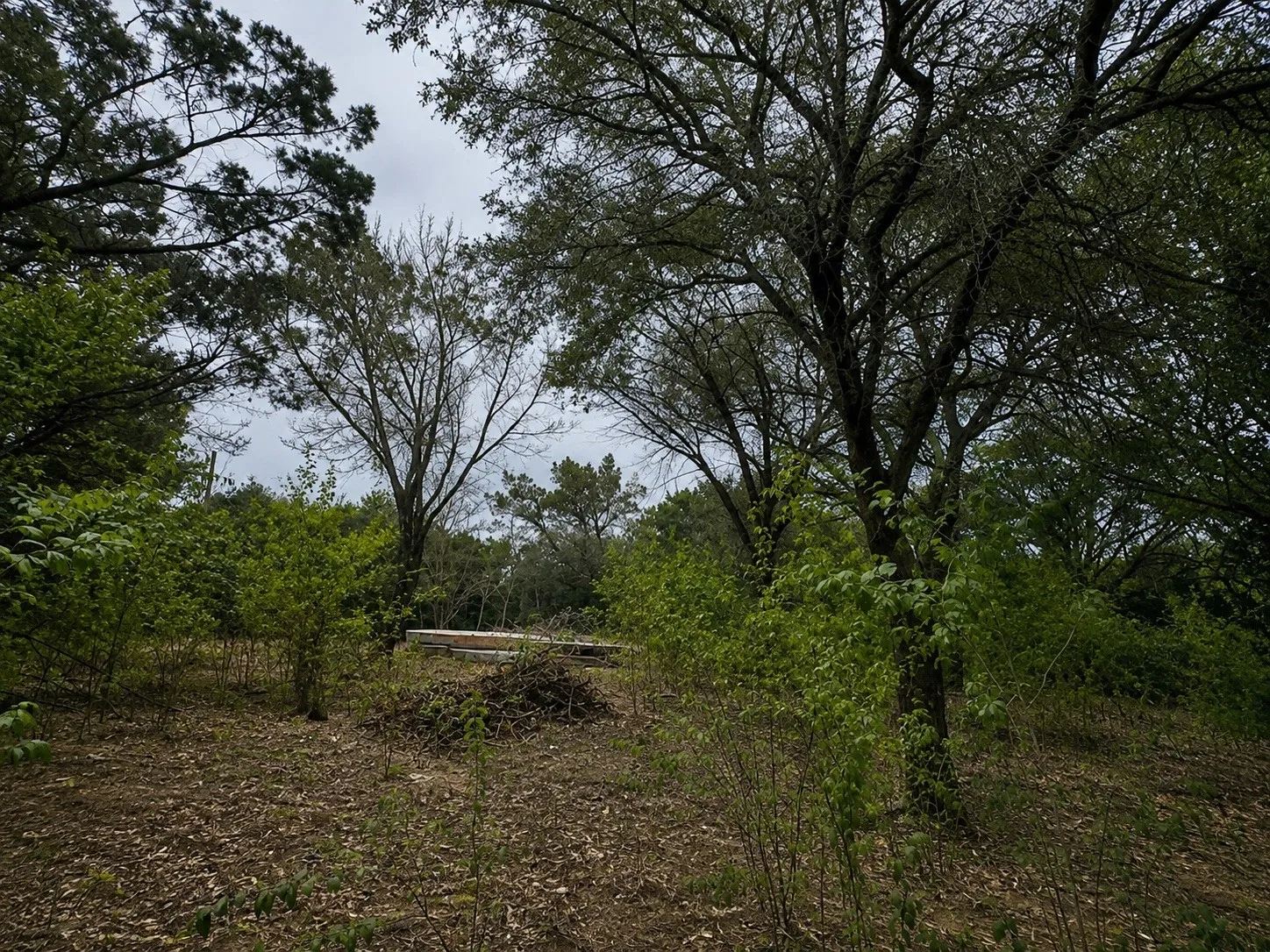 Improved Land For Sale in Hill County , 262 Palomino Loop, Whitney, Texas 76692, 0, 0, Garage spaces, 0 Sqft, built in 0, mls#21165411, Real Estate Agent in Whitney, Homes For Sale in Hill county, Homes For Sale in Whitney, Realtor in Whitney Texas, Real Estate Brokerage Independent Realty Texas, Luminita Cordes Realtor