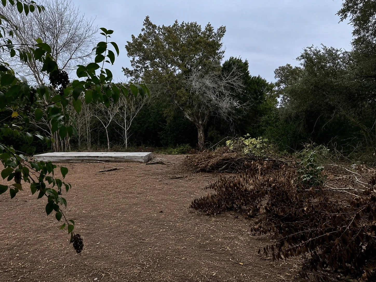 Improved Land For Sale in Hill County , 262 Palomino Loop, Whitney, Texas 76692, 0, 0, Garage spaces, 0 Sqft, built in 0, mls#21165411, Real Estate Agent in Whitney, Homes For Sale in Hill county, Homes For Sale in Whitney, Realtor in Whitney Texas, Real Estate Brokerage Independent Realty Texas, Luminita Cordes Realtor