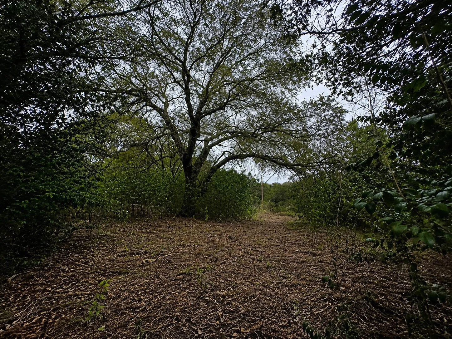 Improved Land For Sale in Hill County , 262 Palomino Loop, Whitney, Texas 76692, 0, 0, Garage spaces, 0 Sqft, built in 0, mls#21165411, Real Estate Agent in Whitney, Homes For Sale in Hill county, Homes For Sale in Whitney, Realtor in Whitney Texas, Real Estate Brokerage Independent Realty Texas, Luminita Cordes Realtor