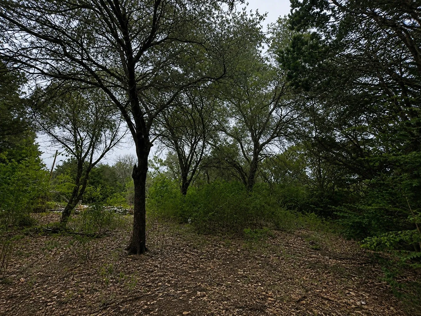 Improved Land For Sale in Hill County , 262 Palomino Loop, Whitney, Texas 76692, 0, 0, Garage spaces, 0 Sqft, built in 0, mls#21165411, Real Estate Agent in Whitney, Homes For Sale in Hill county, Homes For Sale in Whitney, Realtor in Whitney Texas, Real Estate Brokerage Independent Realty Texas, Luminita Cordes Realtor