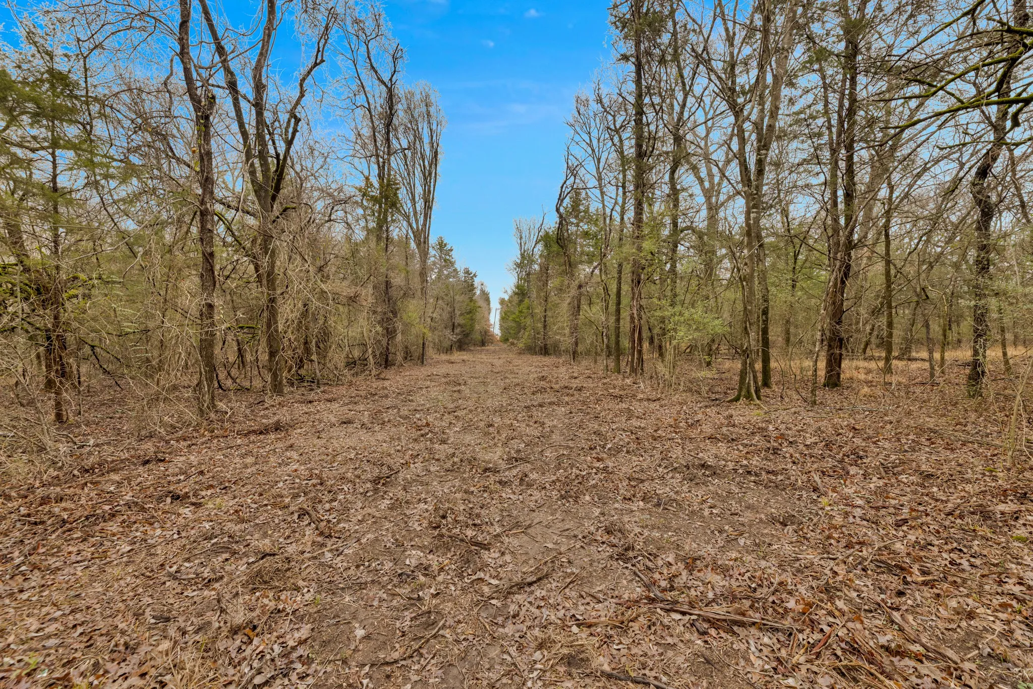 Unimproved Land For Sale in Kaufman County , TBD Co Rd 343, Kaufman, Texas 75142, 0, 0, Garage spaces, 0 Sqft, built in 0, mls#21160902, Real Estate Agent in Kaufman, Homes For Sale in Kaufman county, Homes For Sale in Kaufman, Realtor in Kaufman Texas, Real Estate Brokerage Independent Realty Texas, Luminita Cordes Realtor