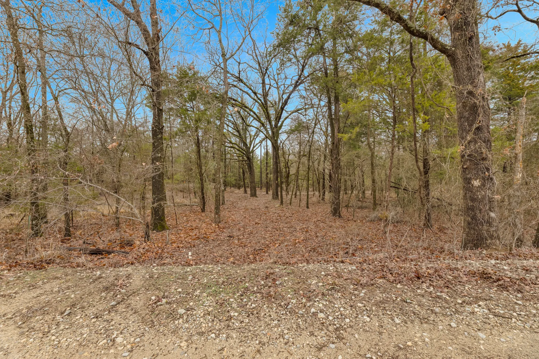Unimproved Land For Sale in Kaufman County , TBD Co Rd 343, Kaufman, Texas 75142, 0, 0, Garage spaces, 0 Sqft, built in 0, mls#21160902, Real Estate Agent in Kaufman, Homes For Sale in Kaufman county, Homes For Sale in Kaufman, Realtor in Kaufman Texas, Real Estate Brokerage Independent Realty Texas, Luminita Cordes Realtor